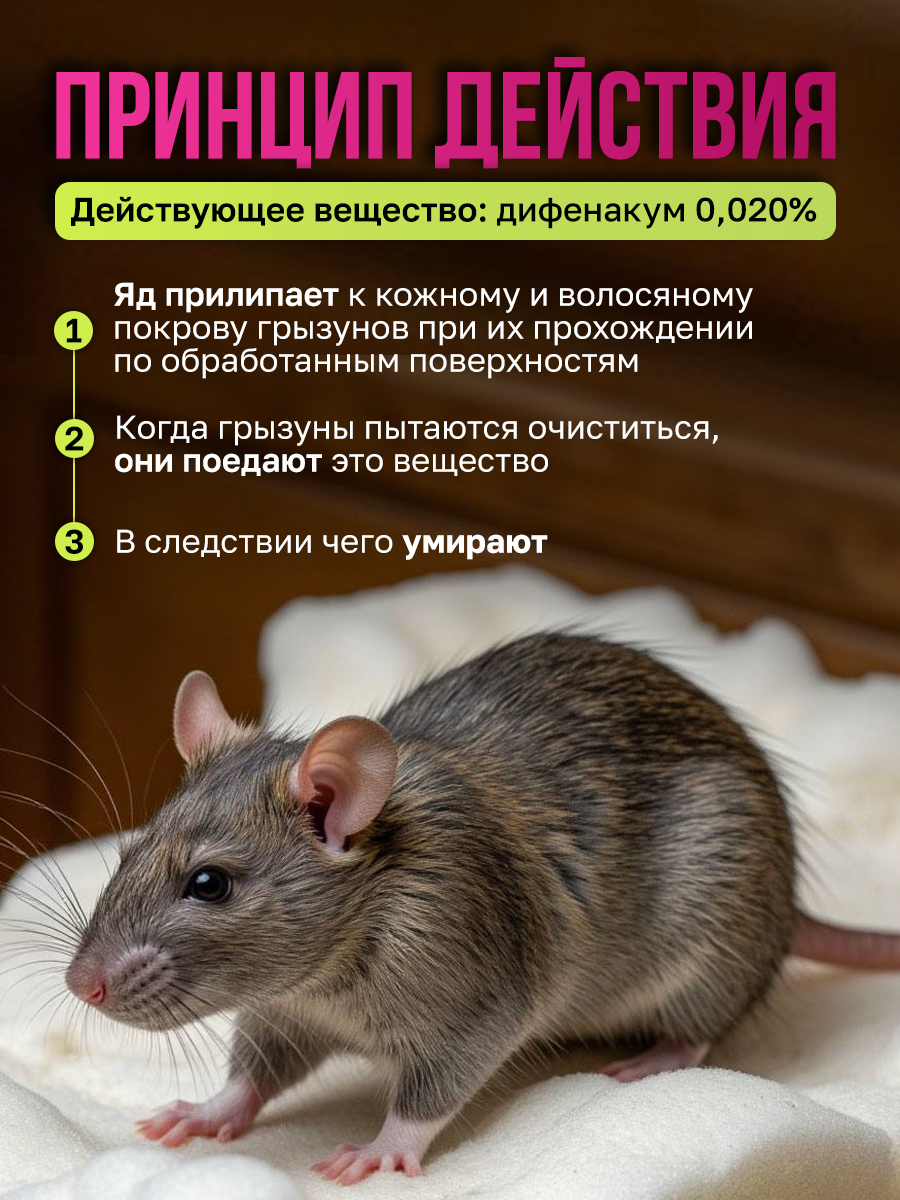 Профессиональный магазин для дезинфекции и дезинсекции — Изображение №3 — Графика, Маркетинг на Dprofile