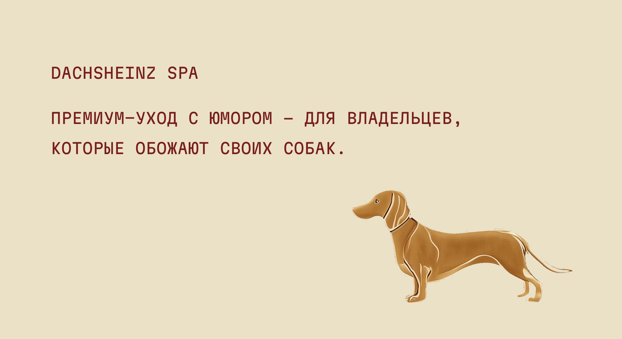 DACHSHEINZ — Изображение №2 — Брендинг на Dprofile