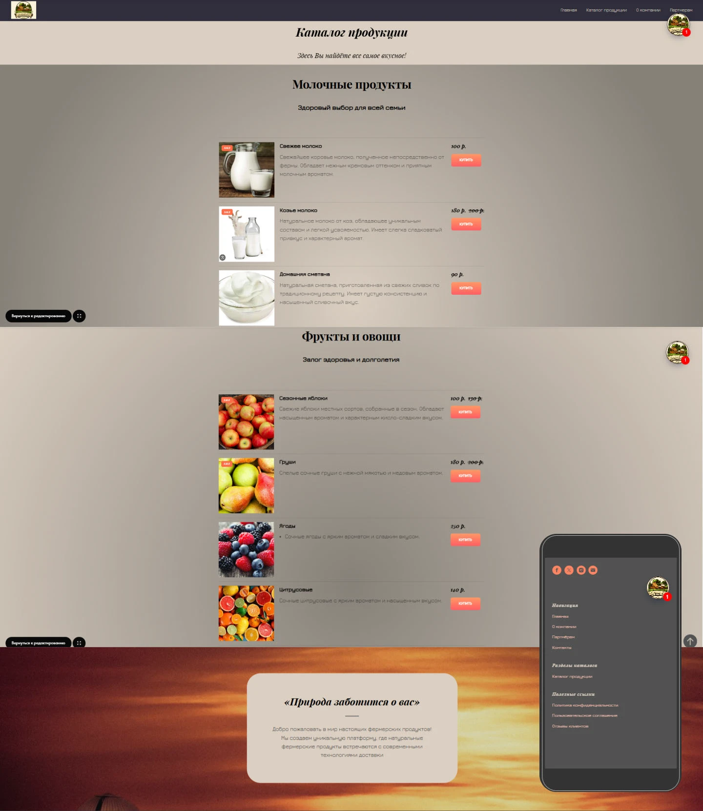 Многостраничный сайт продажи продуктов — Изображение №4 — Интерфейсы, Анимация на Dprofile
