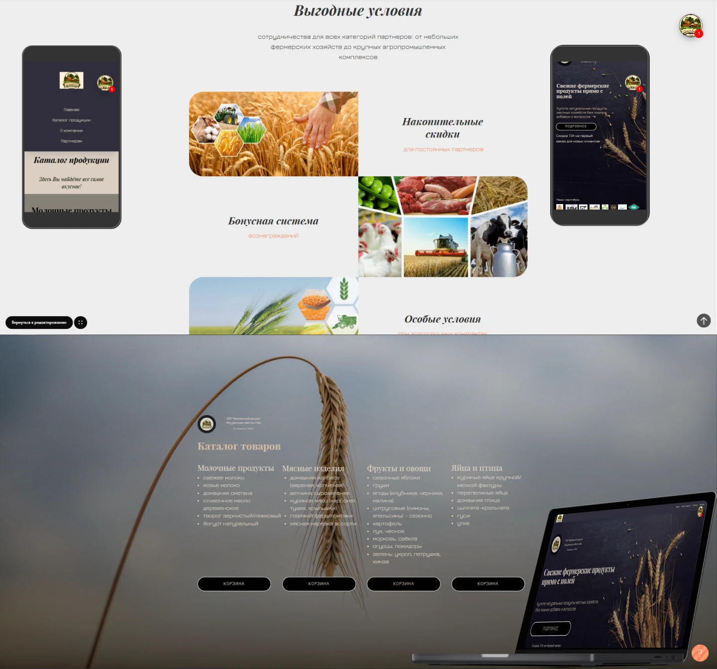 Многостраничный сайт продажи продуктов — Изображение №3 — Интерфейсы, Анимация на Dprofile