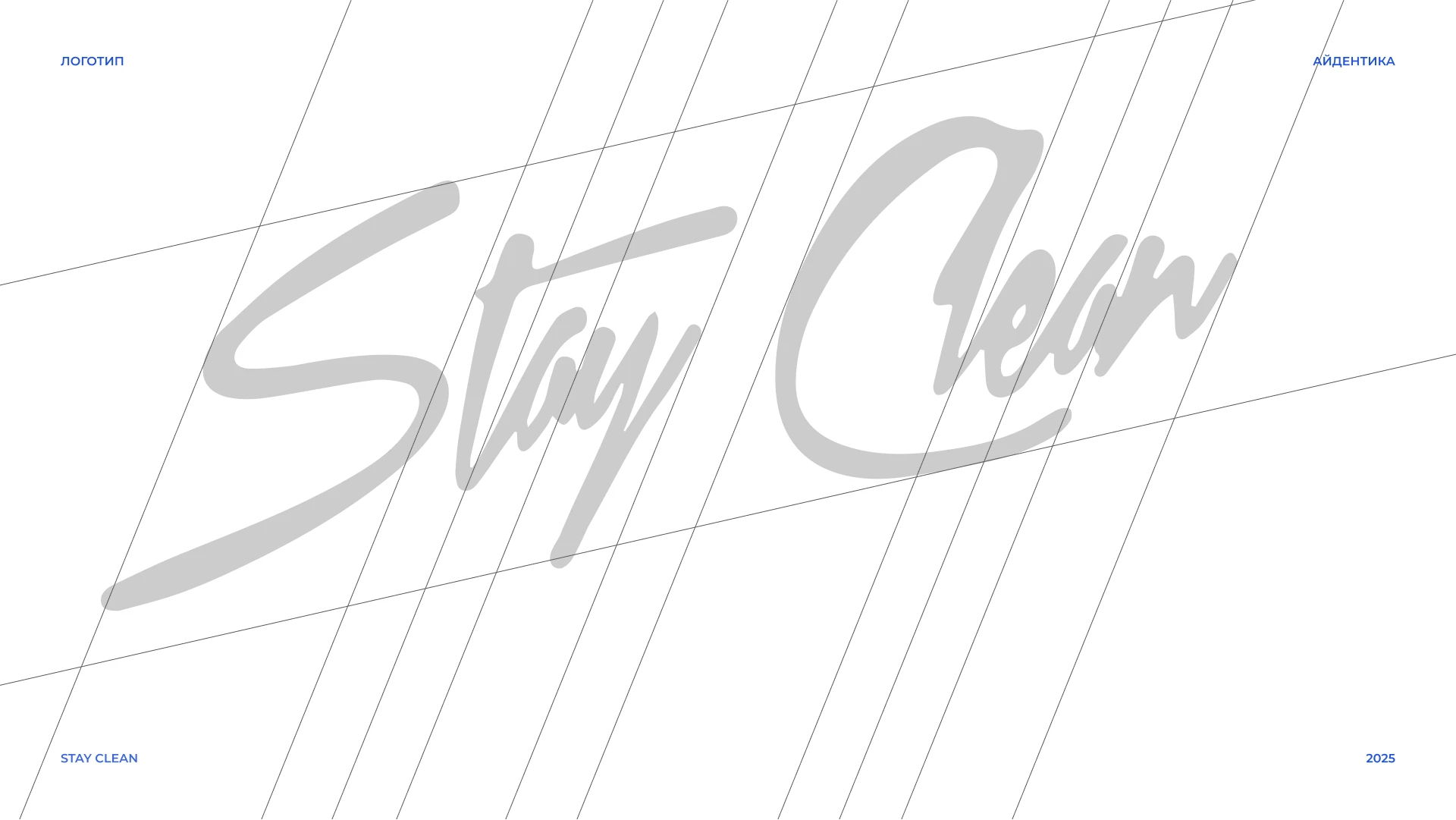 STAY CLEAN — Изображение №16 — Брендинг, Маркетинг на Dprofile