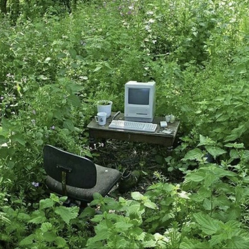 Аватар пользователя Екатерина Федюшина