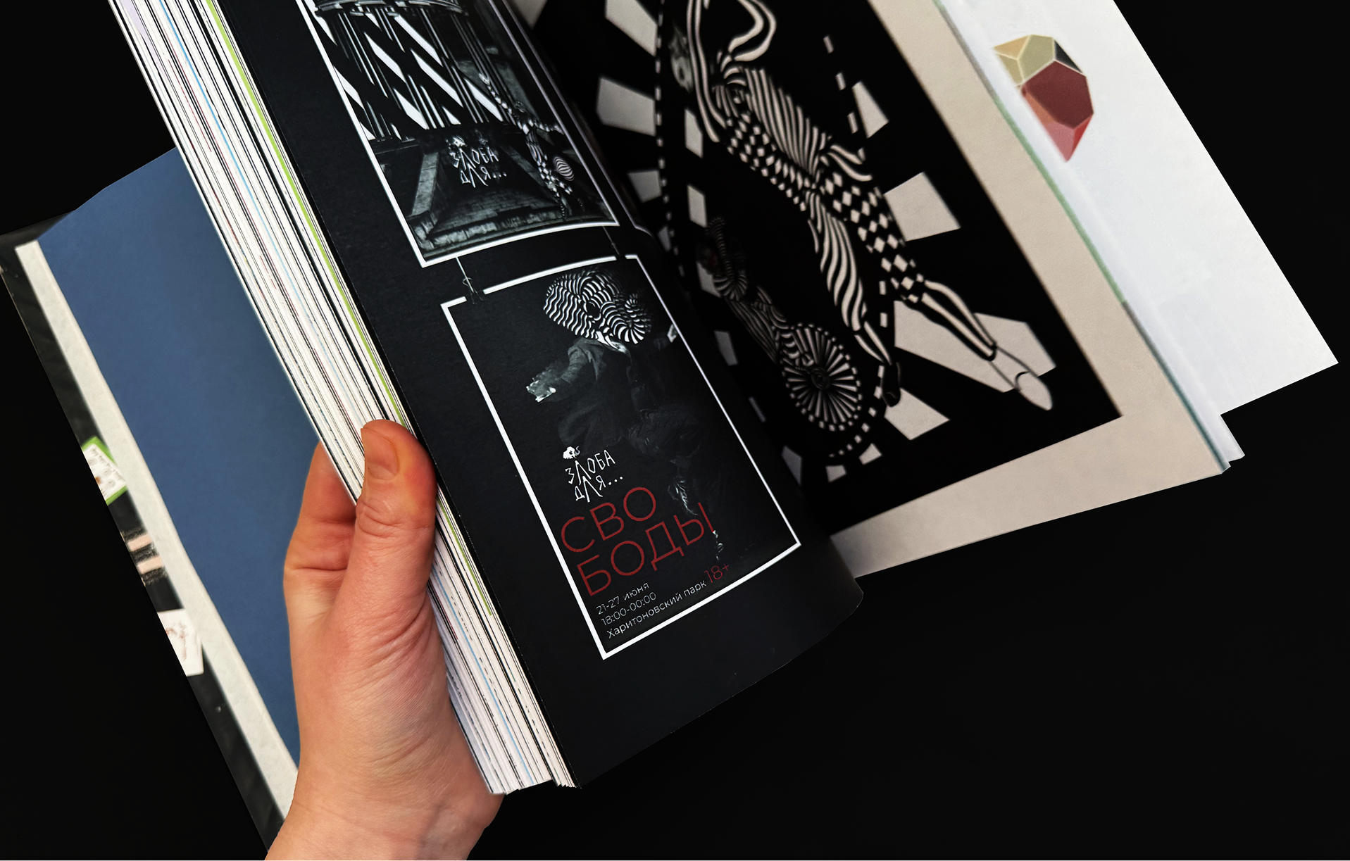 Каталог ВКР кафедры ГД УрГАХУ  «Выпуск №1» — Изображение №29 — Брендинг, Графика на Dprofile