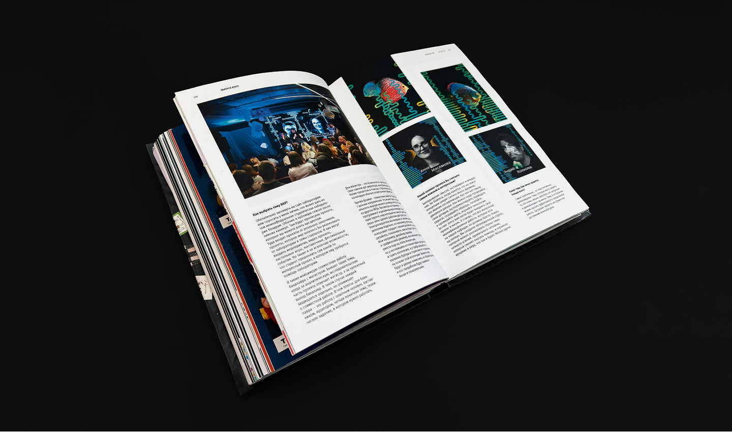 Каталог ВКР кафедры ГД УрГАХУ  «Выпуск №1» — Изображение №31 — Брендинг, Графика на Dprofile