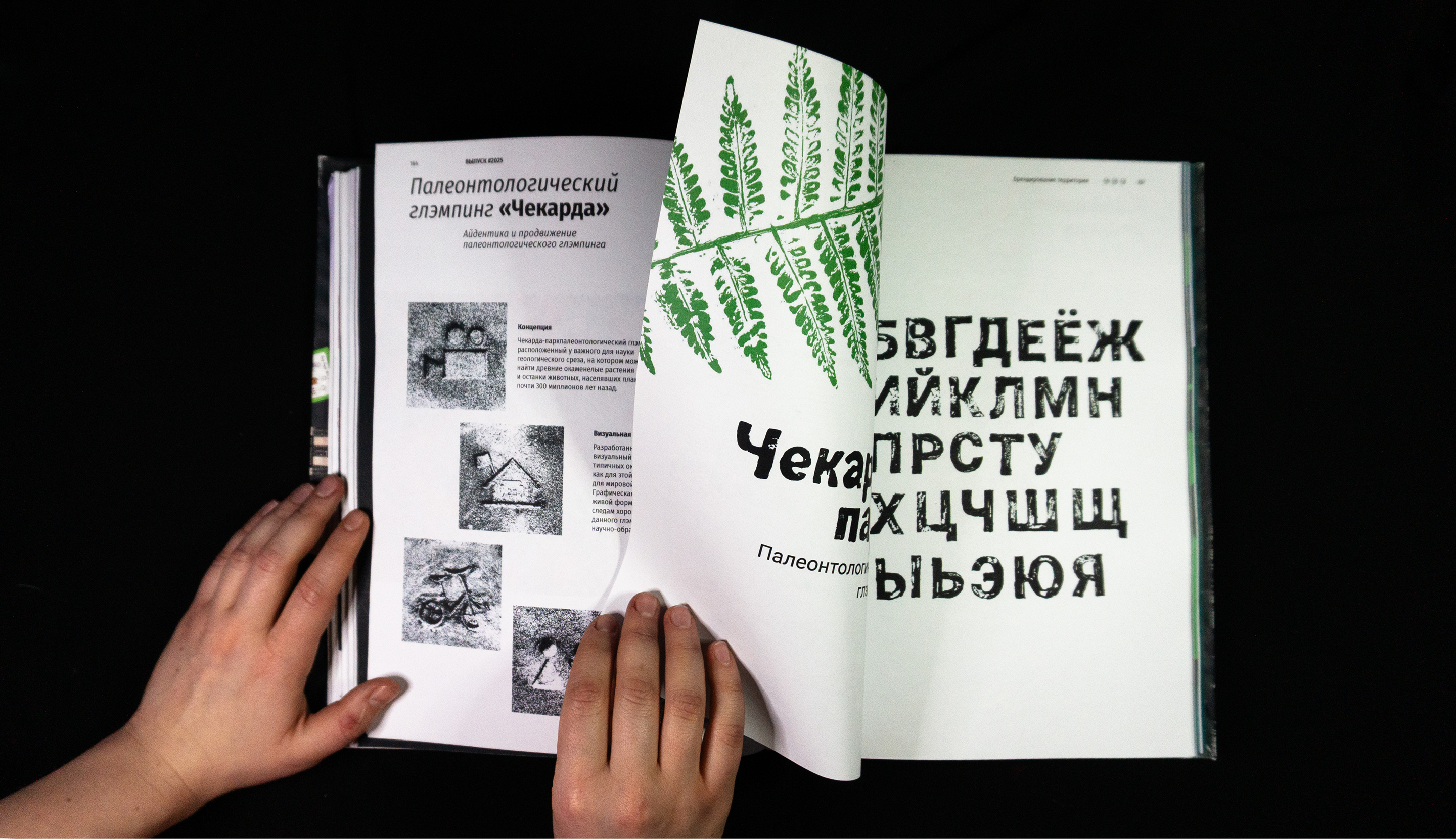 Каталог ВКР кафедры ГД УрГАХУ  «Выпуск №1» — Изображение №16 — Брендинг, Графика на Dprofile