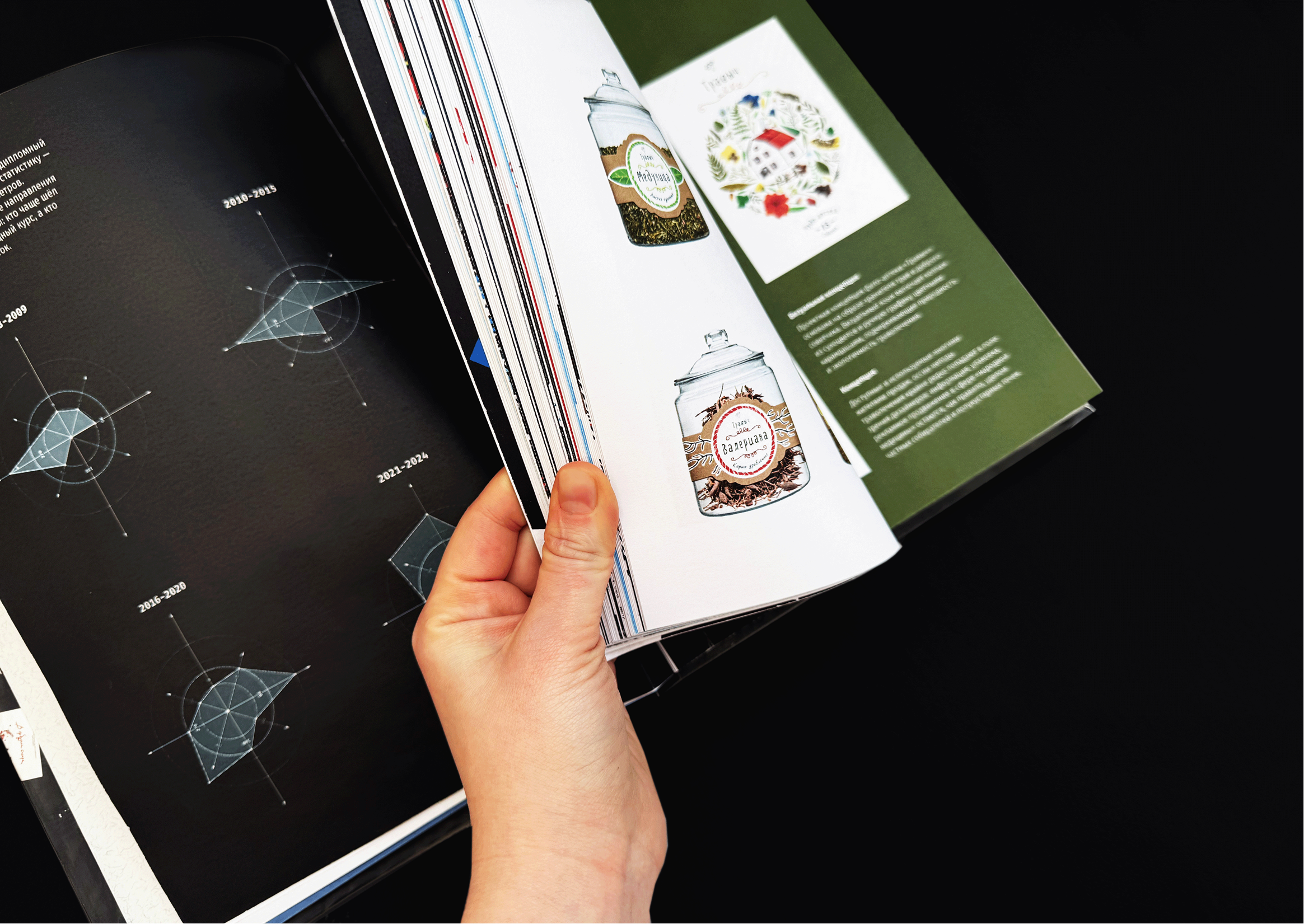 Каталог ВКР кафедры ГД УрГАХУ  «Выпуск №1» — Изображение №10 — Брендинг, Графика на Dprofile