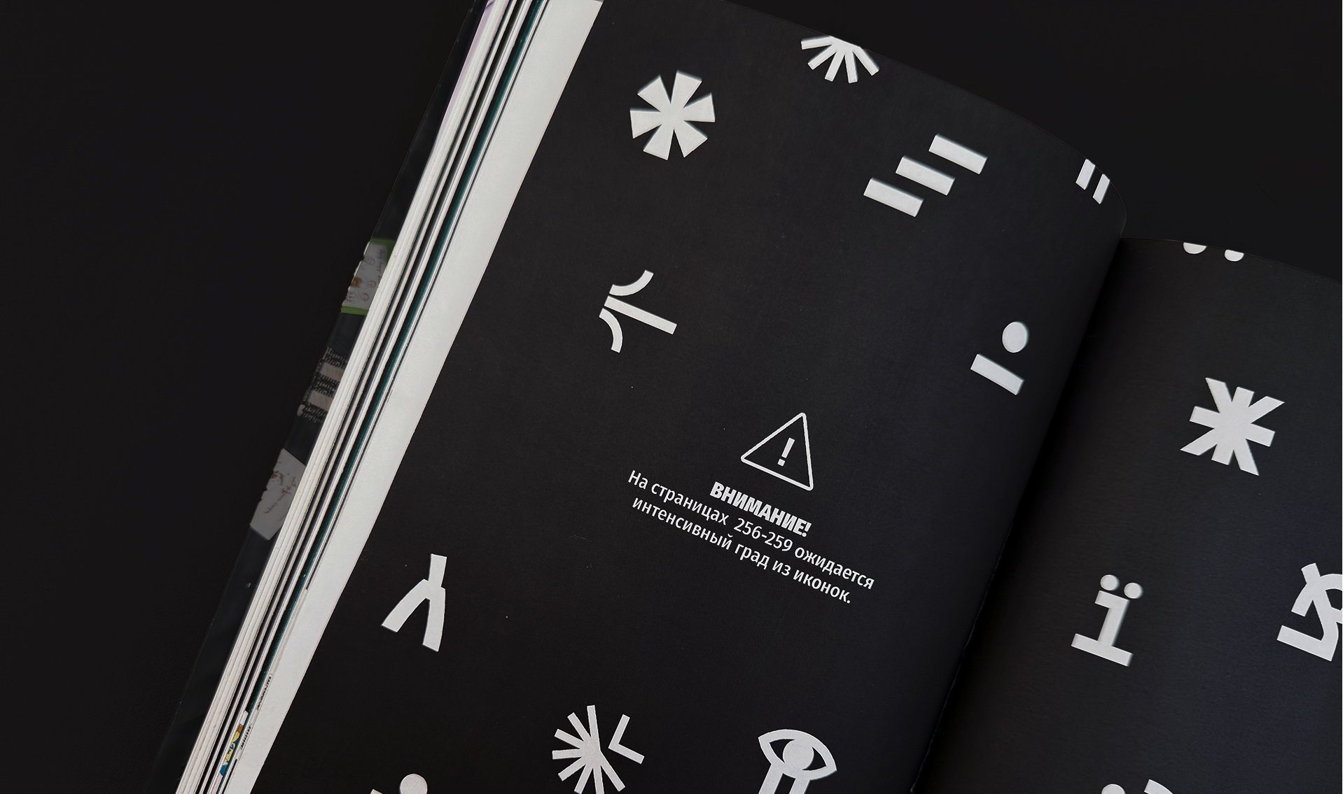 Каталог ВКР кафедры ГД УрГАХУ  «Выпуск №1» — Изображение №20 — Брендинг, Графика на Dprofile