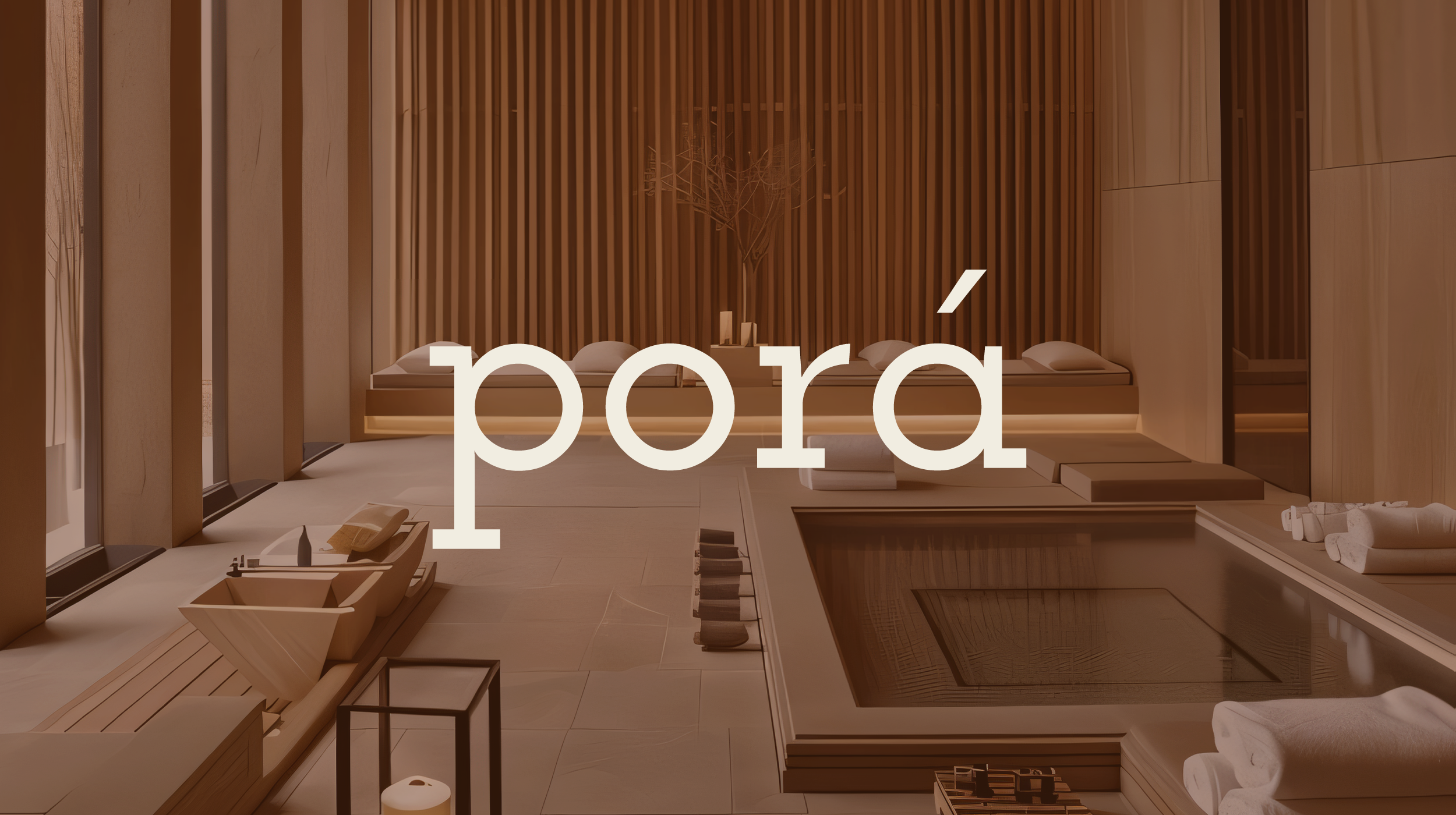 pora: branding project — Изображение №1 — Брендинг, Графика на Dprofile