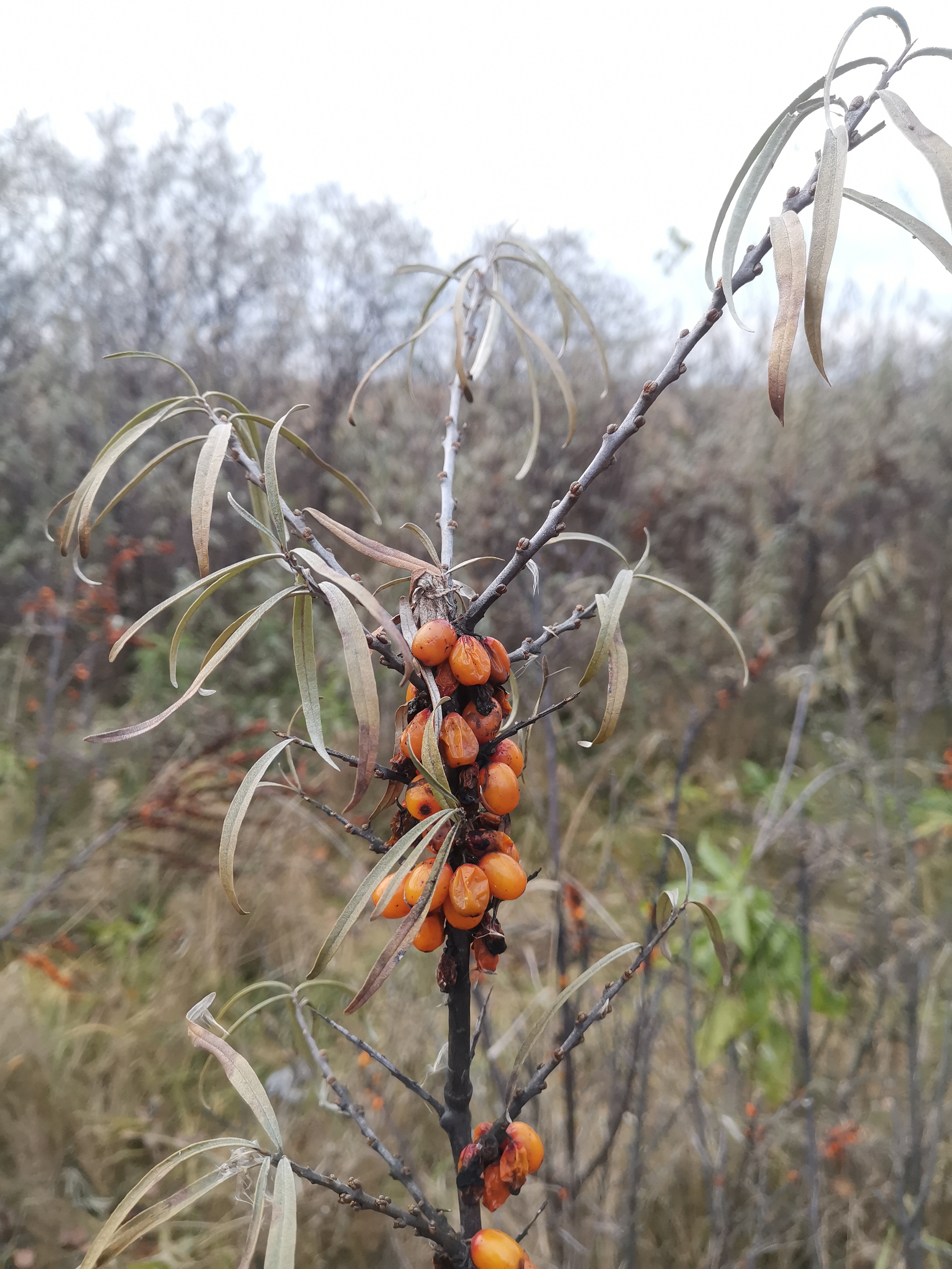 Коллажи — Изображение №2 — Иллюстрация, Графика на Dprofile