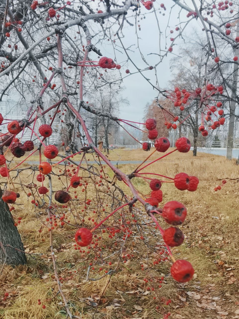 Коллажи — Изображение №15 — Иллюстрация, Графика на Dprofile