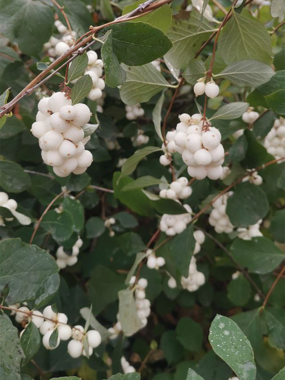 Коллажи — Изображение №10 — Иллюстрация, Графика на Dprofile