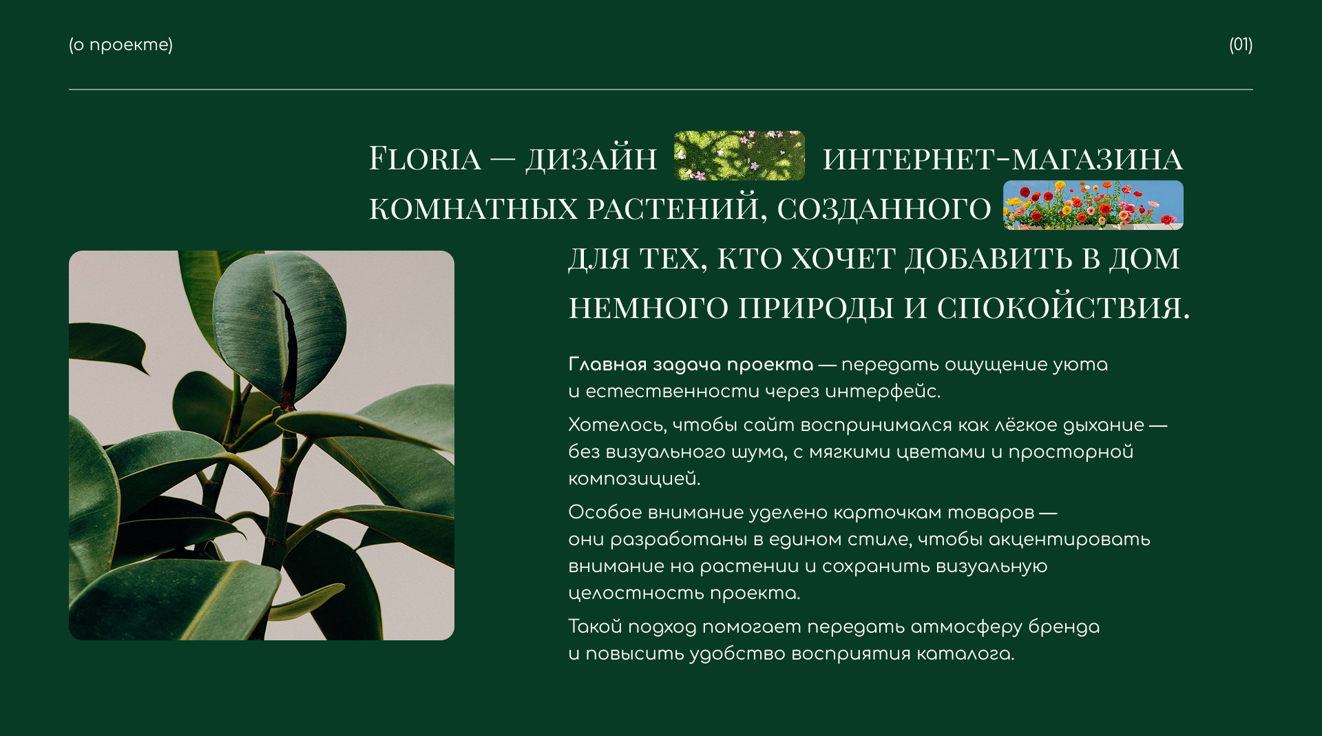 Floria online store — Изображение №2 — Интерфейсы на Dprofile
