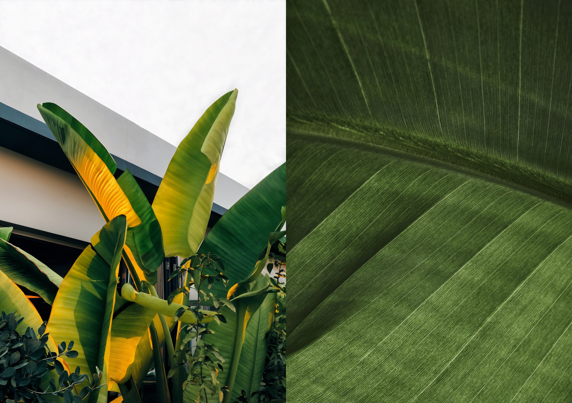 Floria online store — Изображение №4 — Интерфейсы на Dprofile