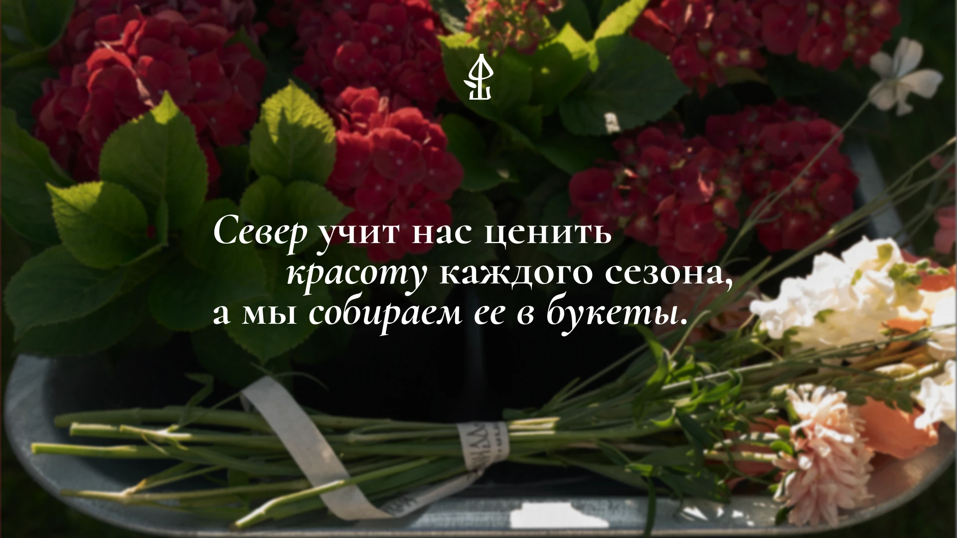 ФРОСИНА ТЕПЛИЦА — фирменный стиль цветочного магазина — Изображение №15 — Брендинг на Dprofile