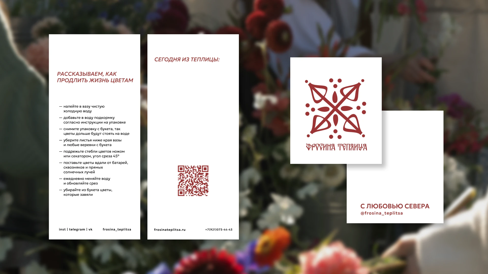 ФРОСИНА ТЕПЛИЦА — фирменный стиль цветочного магазина — Изображение №9 — Брендинг на Dprofile