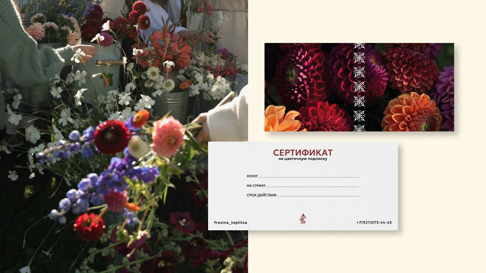 ФРОСИНА ТЕПЛИЦА — фирменный стиль цветочного магазина — Изображение №17 — Брендинг на Dprofile