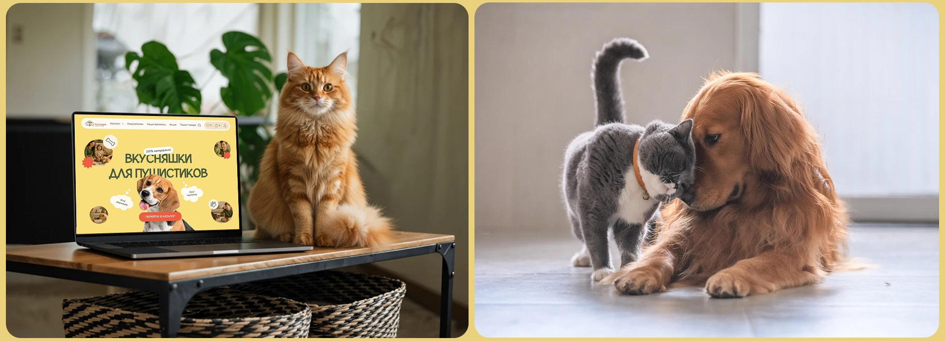 Зоотовары ONLINE SHOP — Изображение №2 — Интерфейсы на Dprofile