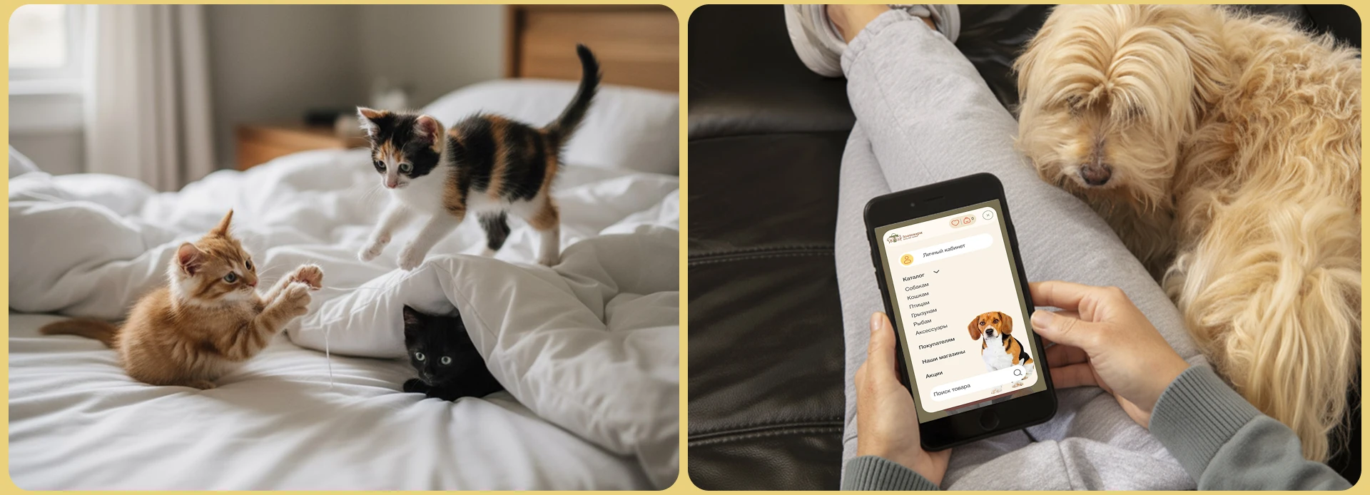 Зоотовары ONLINE SHOP — Изображение №13 — Интерфейсы на Dprofile