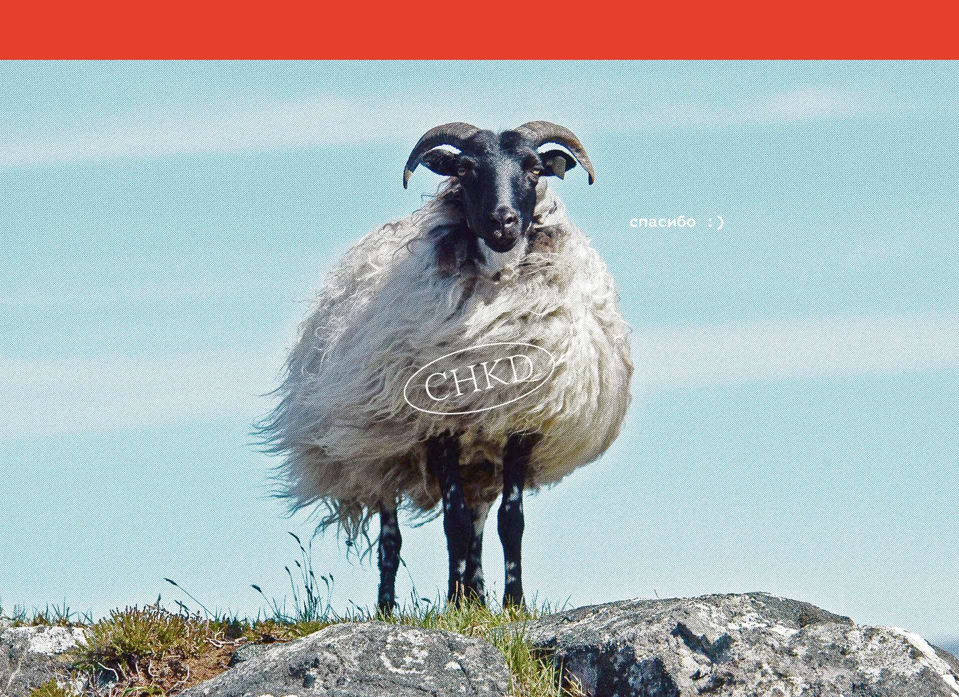 Грузинское бистро «Есть хинкали» — Изображение №33 — Брендинг, Графика на Dprofile