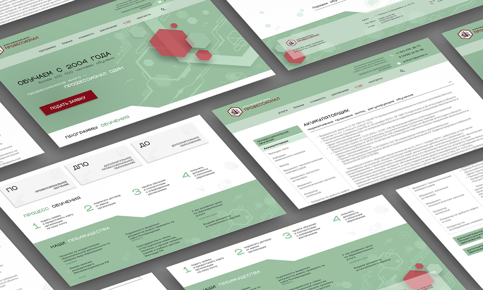 Учебный центр «ПРОФЕССИОНАЛ» — редизайн сайта — Изображение №3 — Интерфейсы, Брендинг на Dprofile