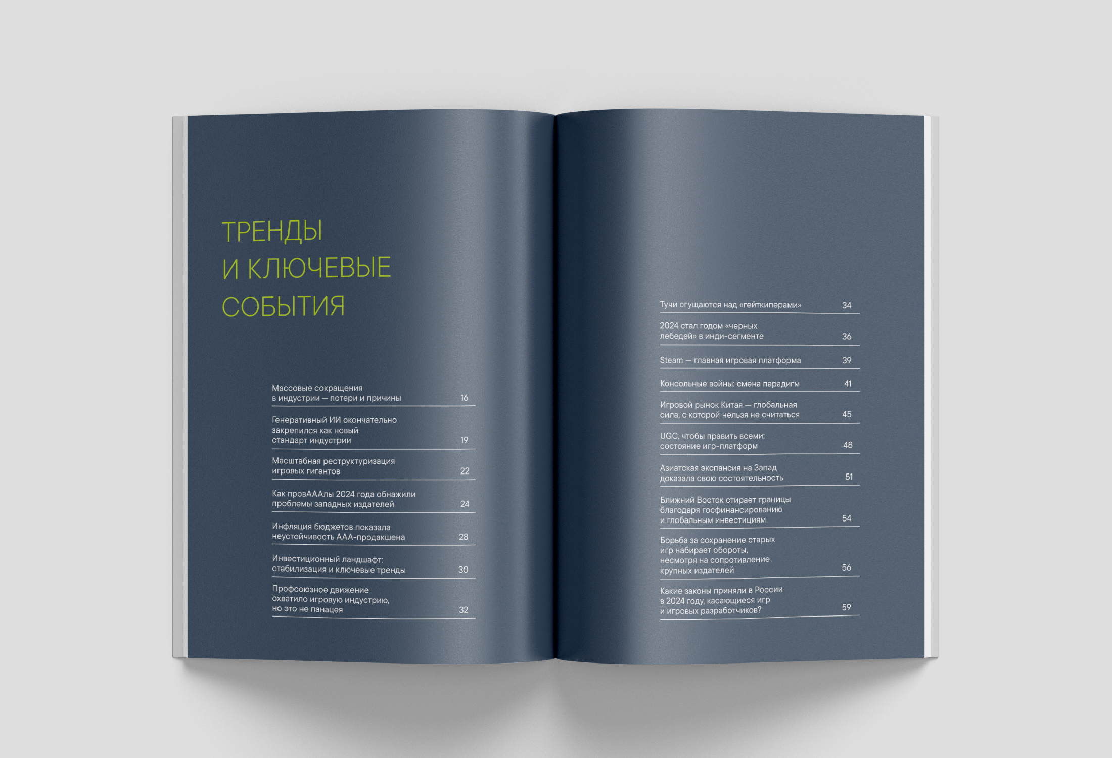 Дизайн и вёрстка альманаха для IT-проекта — Изображение №3 — Графика на Dprofile