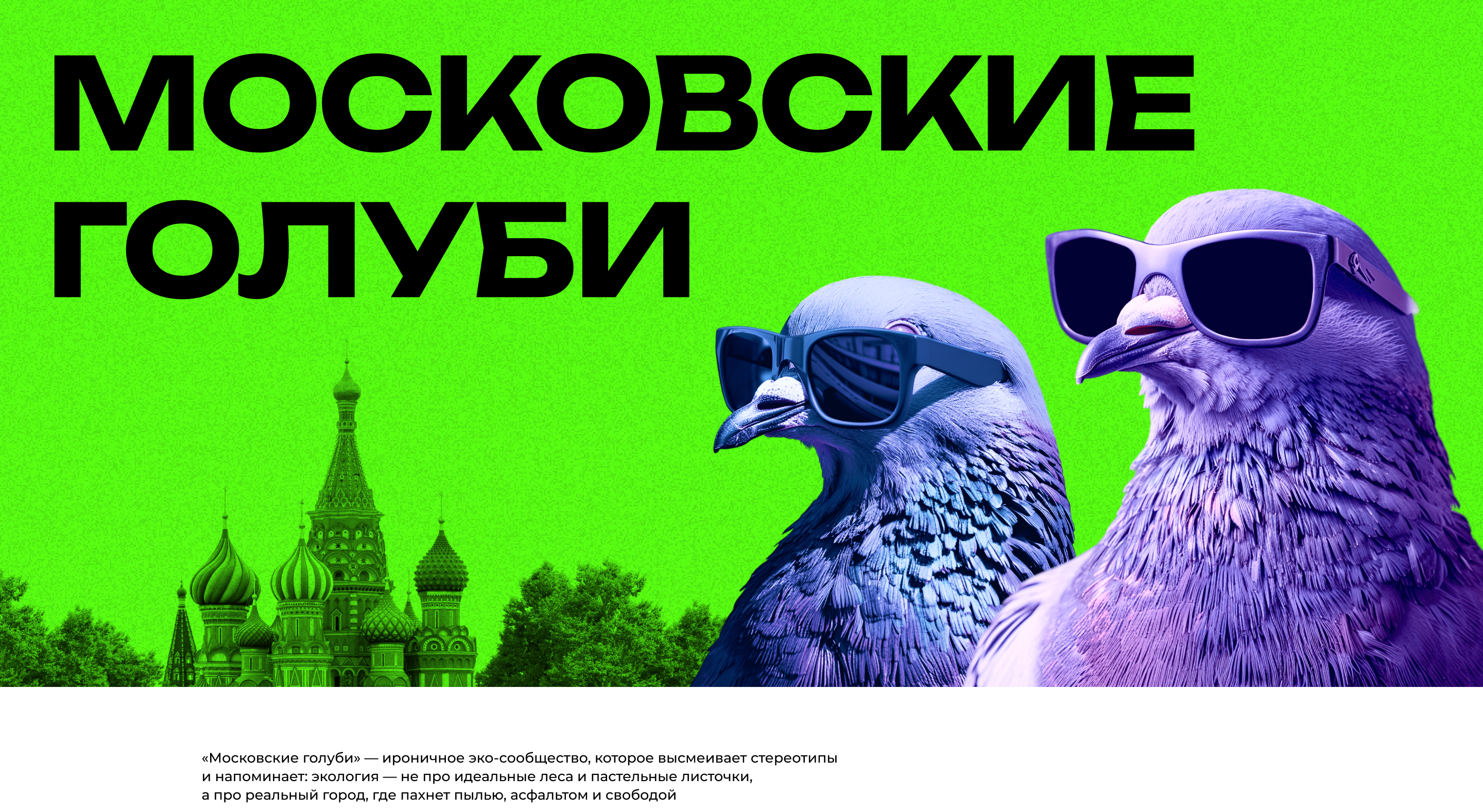 Эко сообщество «Московские голуби» — Изображение №1 — Брендинг, Маркетинг на Dprofile