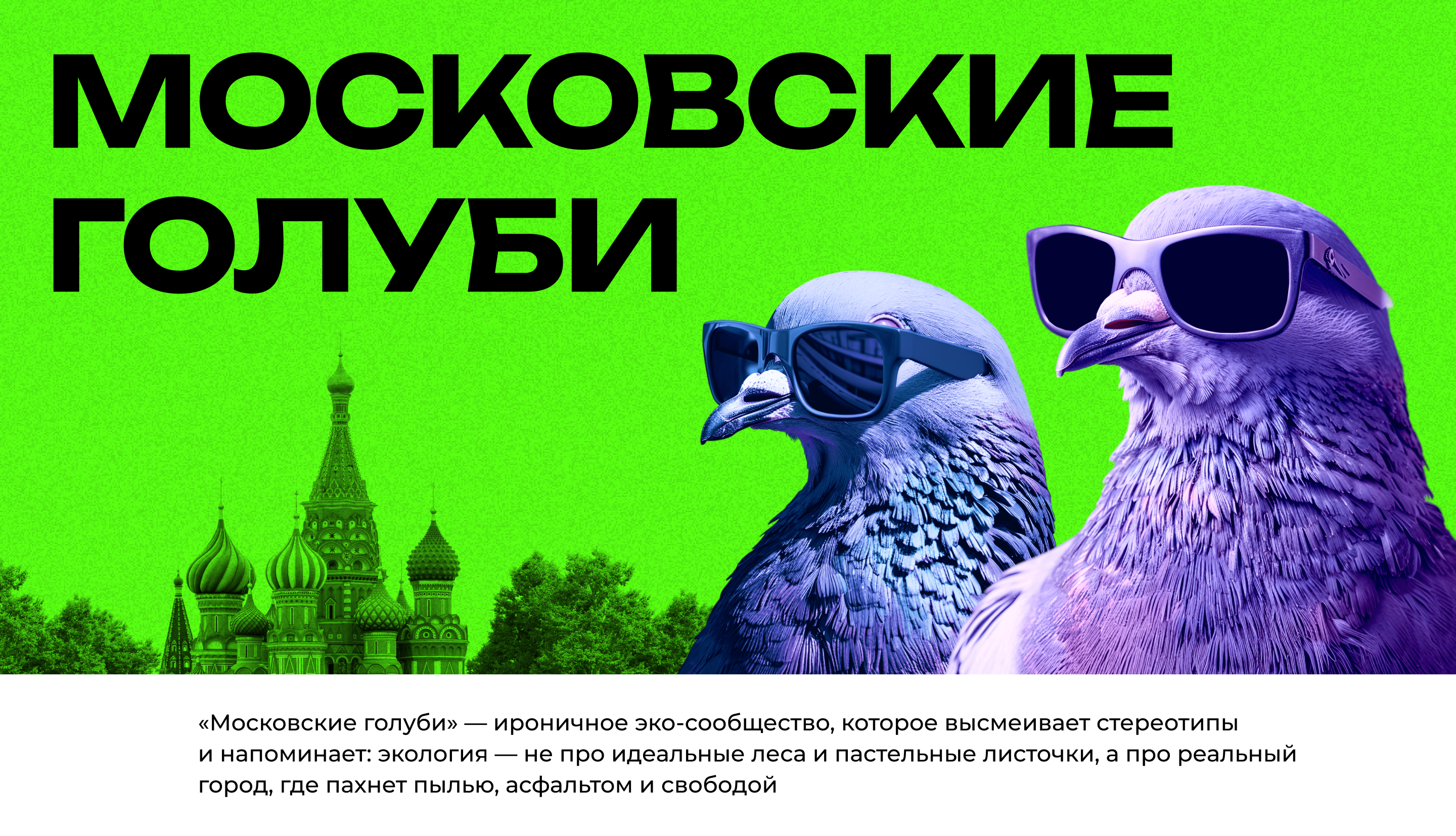 Эко сообщество «Московские голуби» — Изображение №1 — Брендинг, Маркетинг на Dprofile