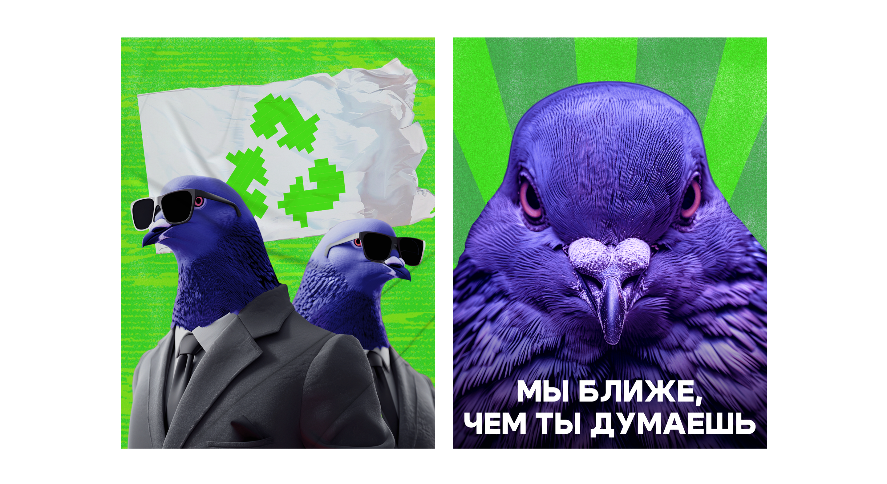 Эко сообщество «Московские голуби» — Изображение №6 — Брендинг, Маркетинг на Dprofile