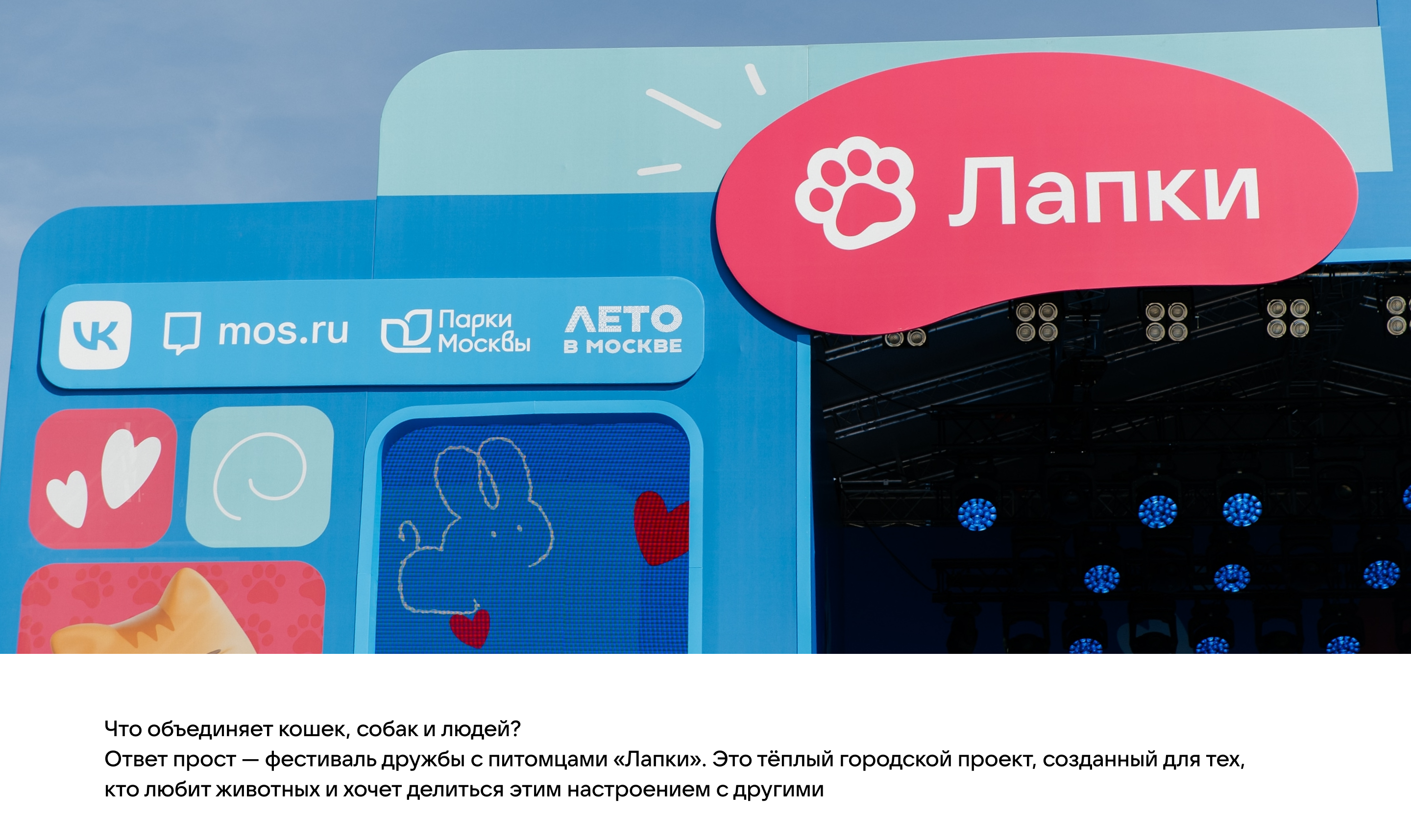Фестиваль домашних животных «Лапки» — Изображение №1 — Брендинг на Dprofile