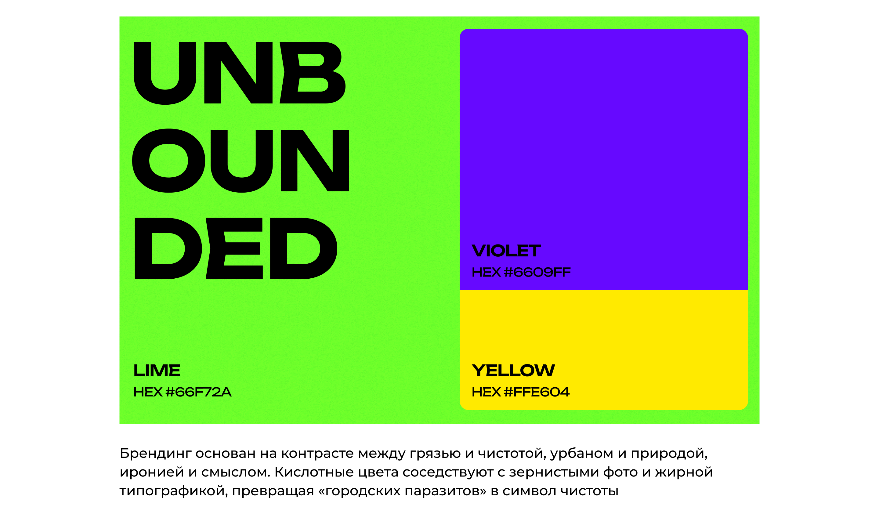 Эко сообщество «Московские голуби» — Изображение №4 — Брендинг, Маркетинг на Dprofile