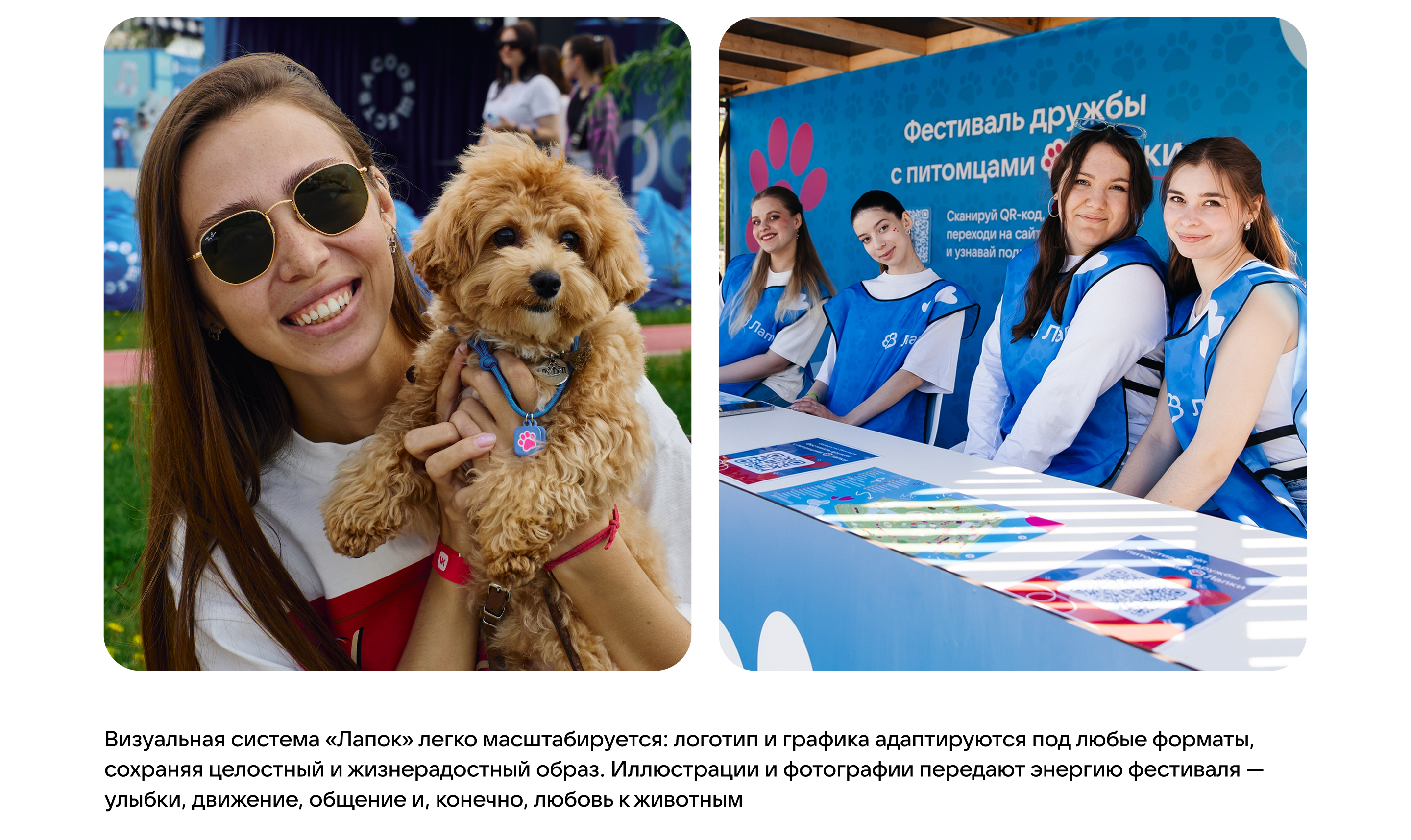 Фестиваль домашних животных «Лапки» — Изображение №7 — Брендинг на Dprofile