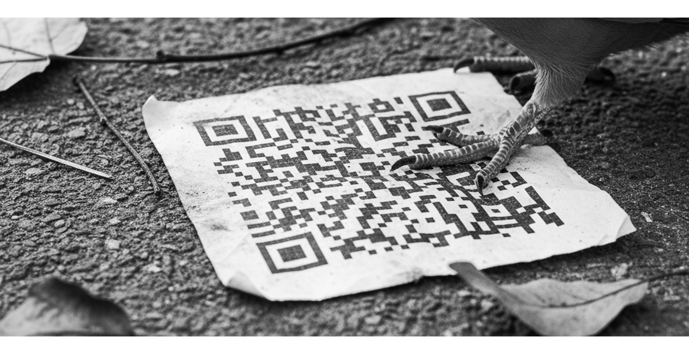 Эко сообщество «Московские голуби» — Изображение №12 — Брендинг, Маркетинг на Dprofile