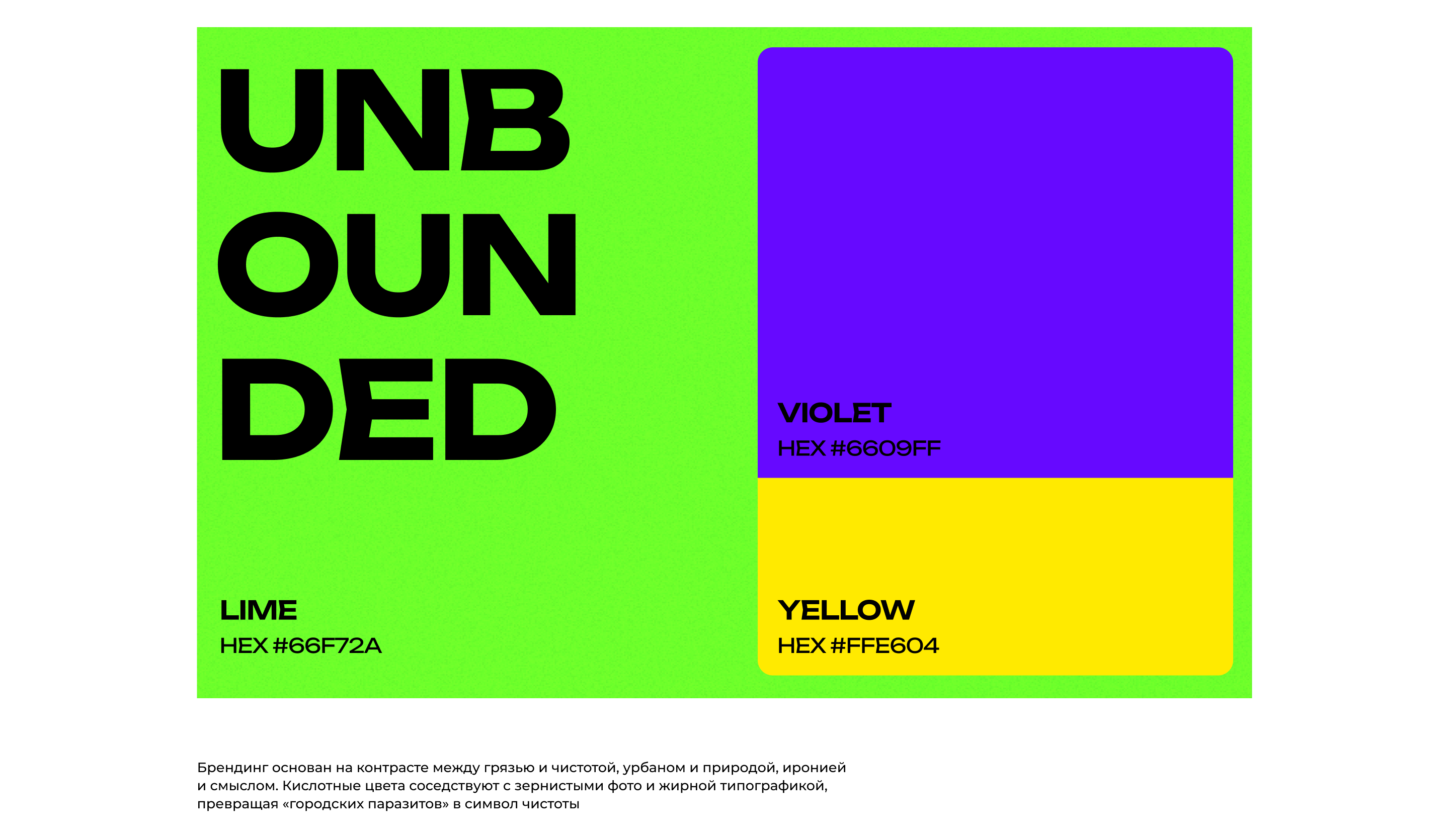 Эко сообщество «Московские голуби» — Изображение №4 — Брендинг, Маркетинг на Dprofile
