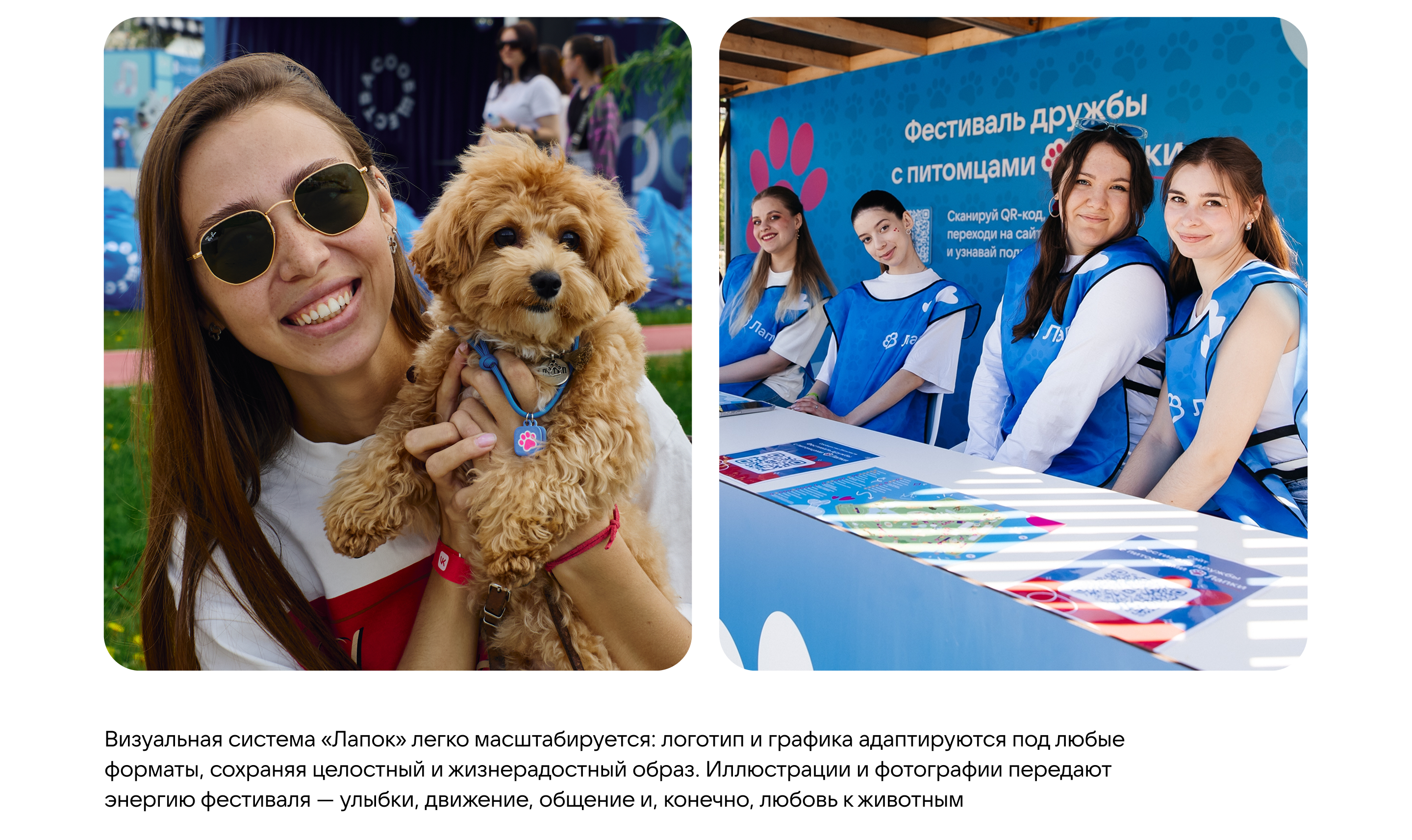 Фестиваль домашних животных «Лапки» — Изображение №7 — Брендинг на Dprofile