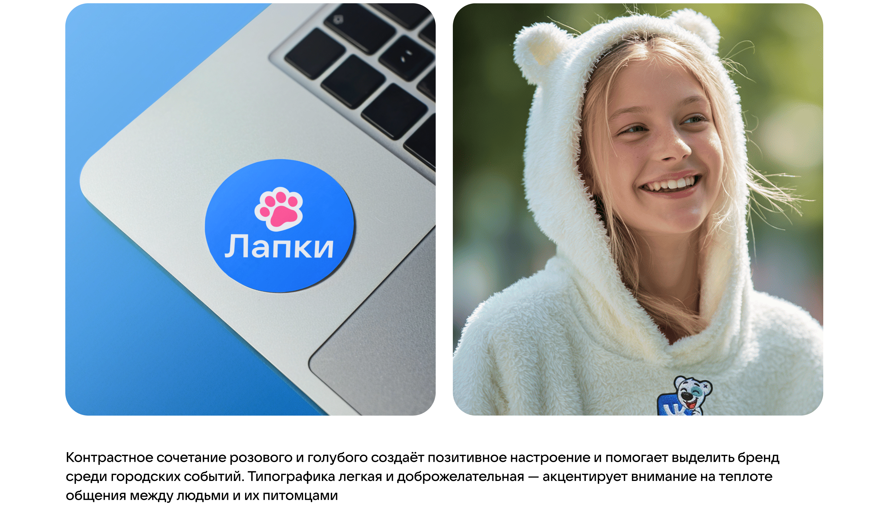 Фестиваль домашних животных «Лапки» — Изображение №4 — Брендинг на Dprofile