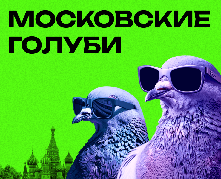 Эко сообщество «Московские голуби» на Dprofile