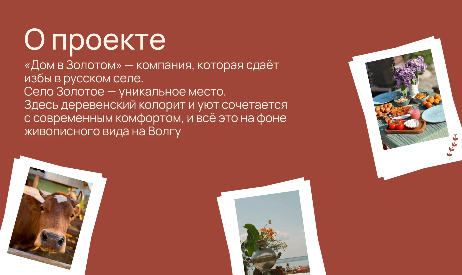Редизайн сайта для компании "Дом в Золотом" — Изображение №2 — Интерфейсы на Dprofile
