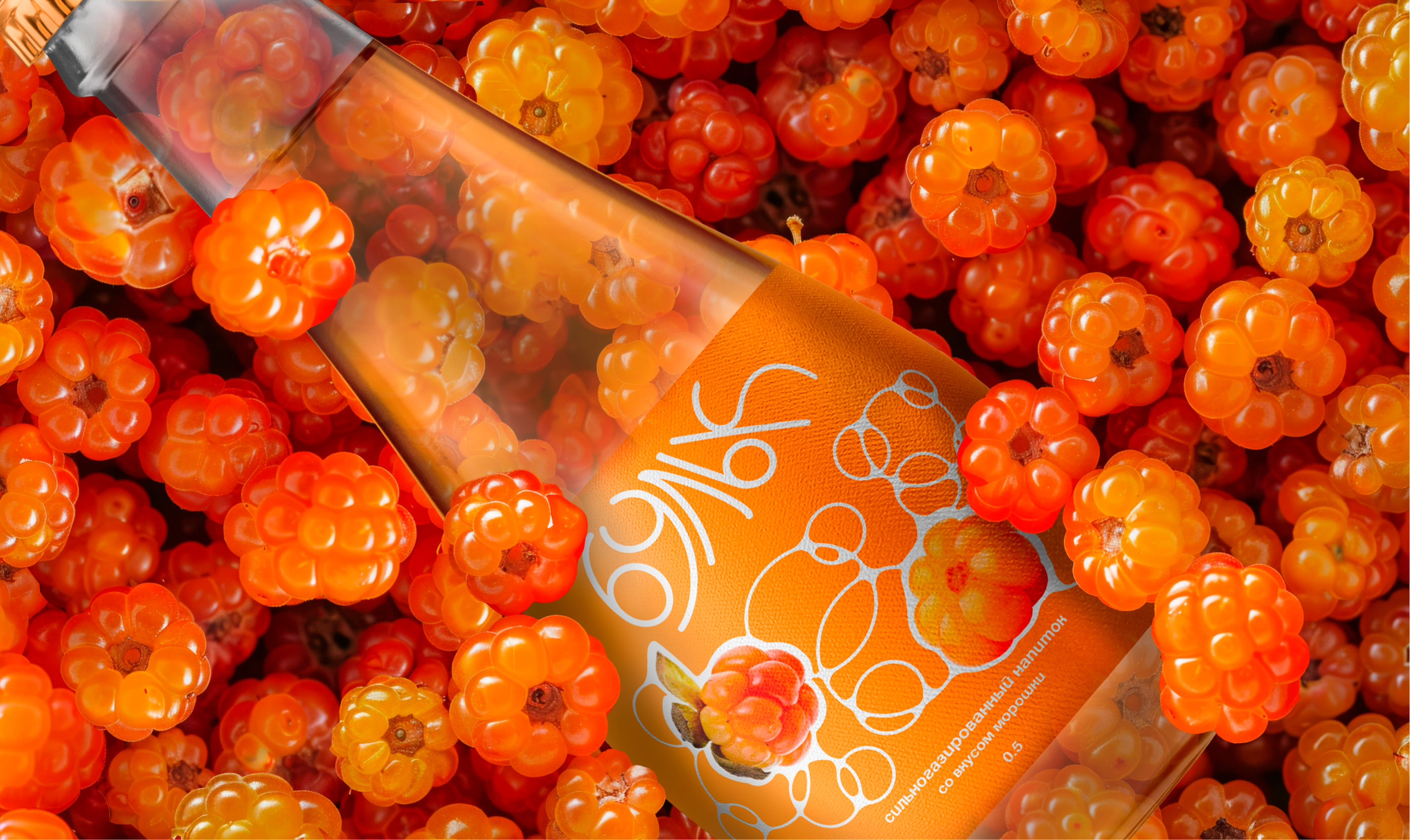 «Бульк» — натуральные лимонады — Изображение №1 — Брендинг на Dprofile