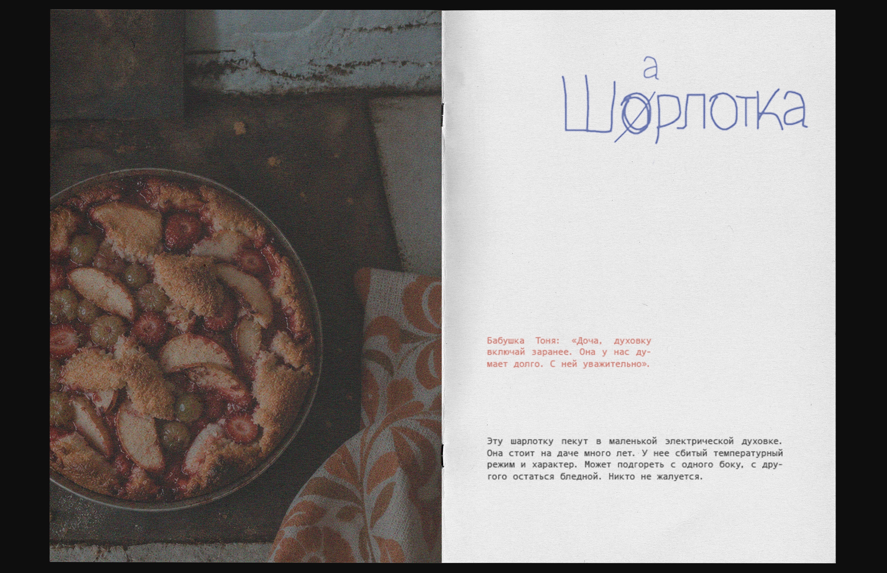 Дачные рецепты. Семейная книга — Изображение №6 — Графика, Нейро на Dprofile