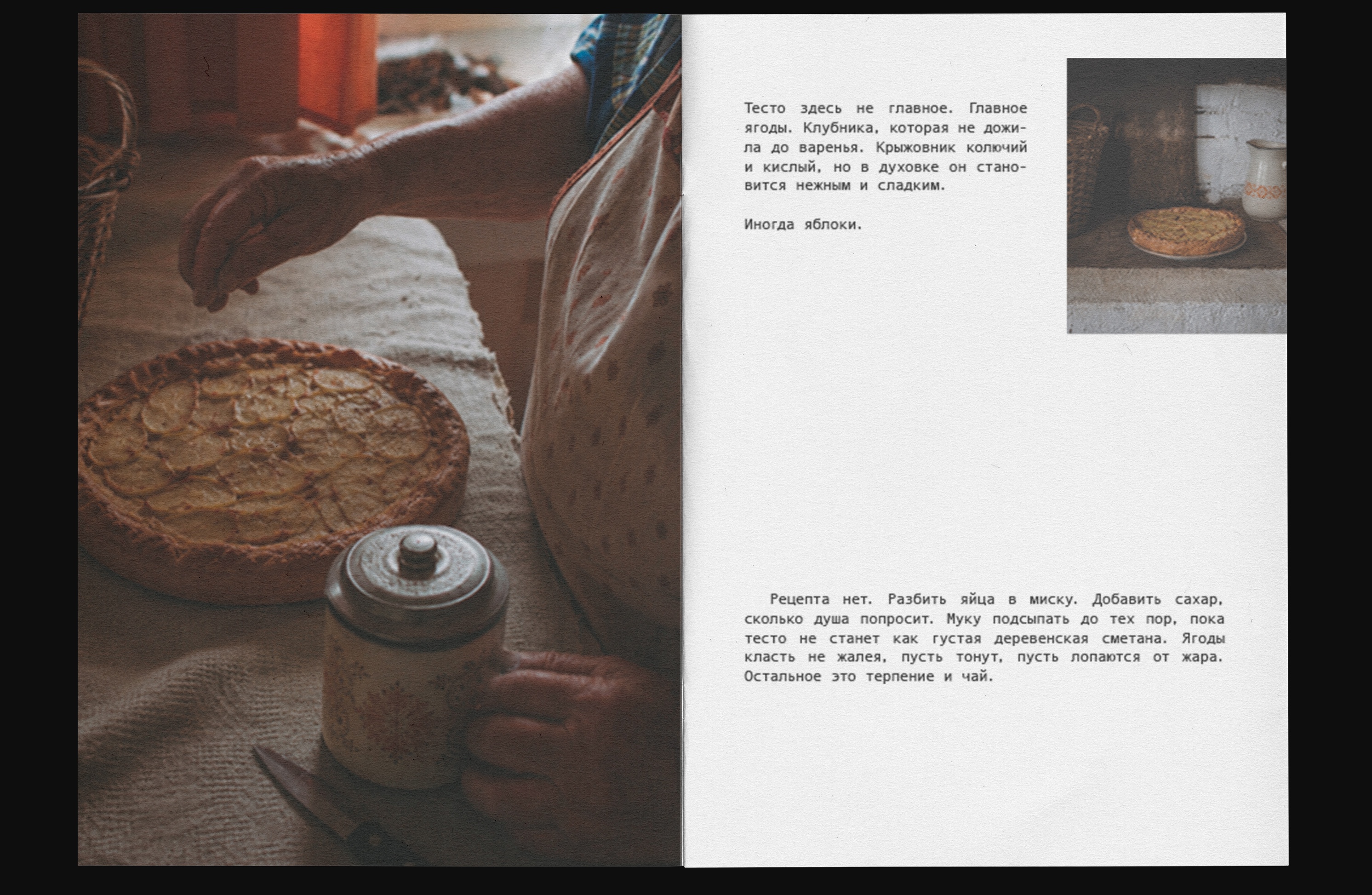Дачные рецепты. Семейная книга — Изображение №7 — Графика, Нейро на Dprofile