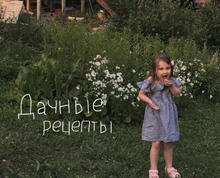 Дачные рецепты. Семейная книга на Dprofile