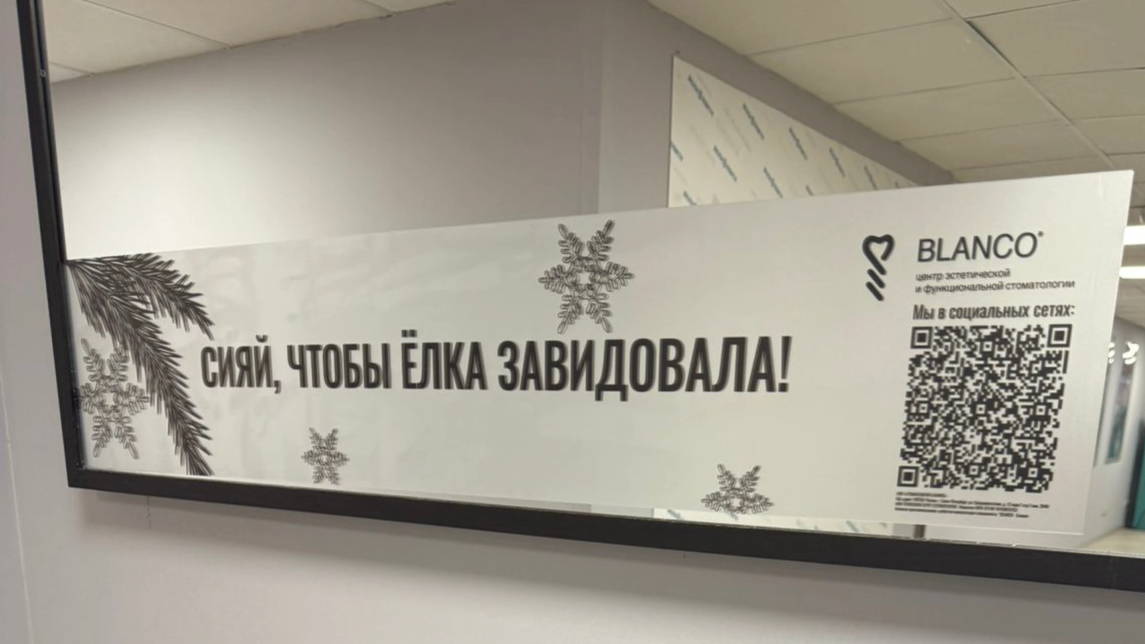 Pos-материалы для стоматологии | Полиграфия — Изображение №4 — Брендинг, Графика на Dprofile