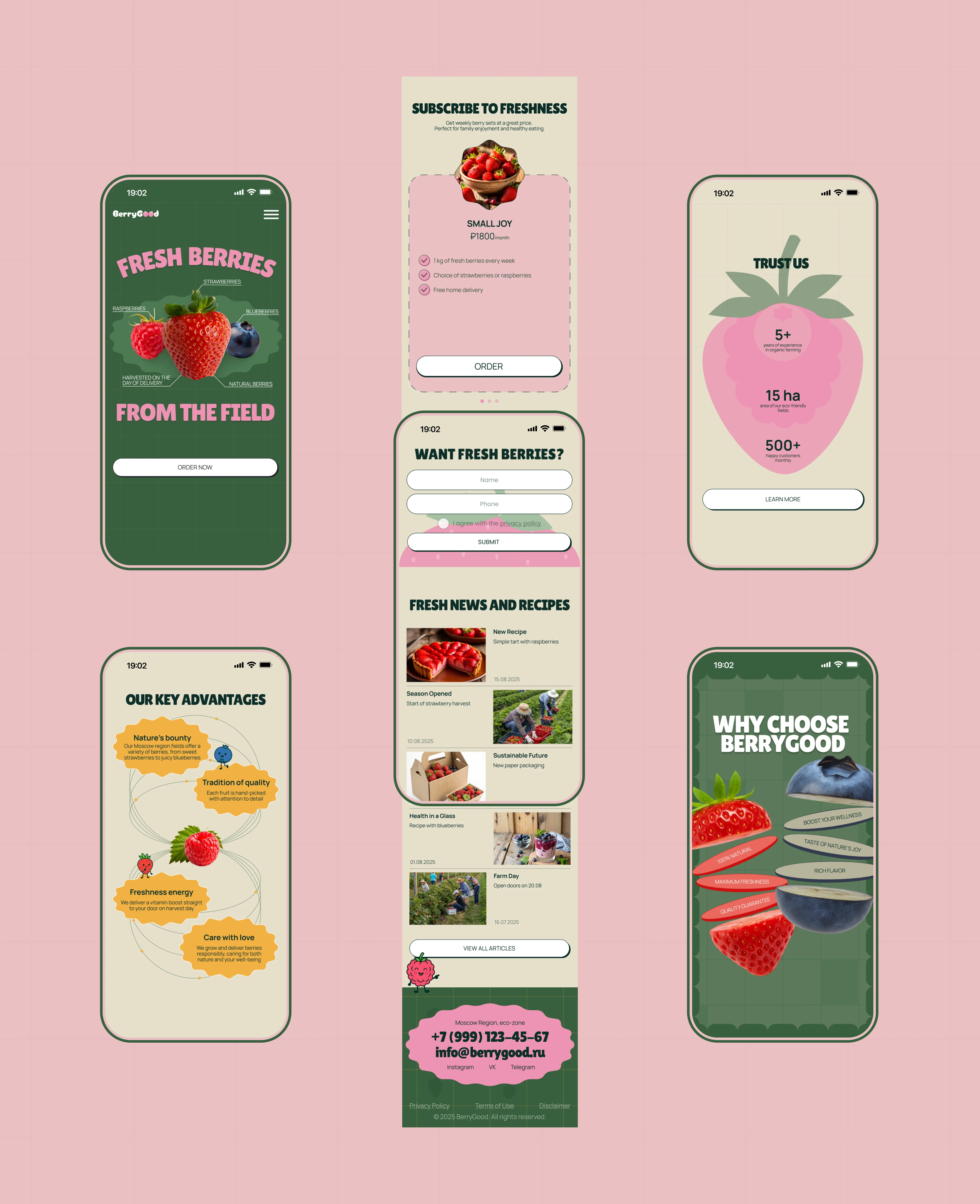 BERRY GOOD | Corporate website — Изображение №3 — Интерфейсы, Брендинг на Dprofile