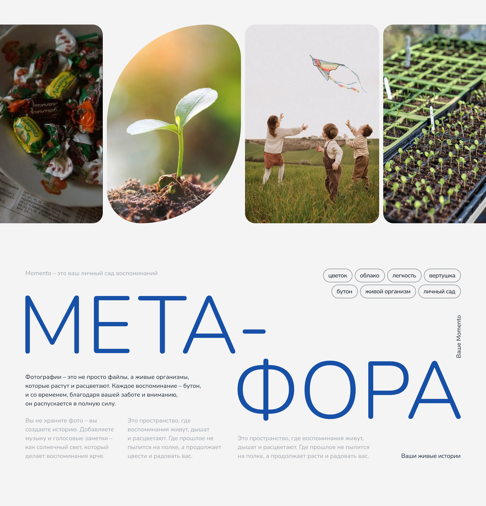 Мобильное приложение для организации медиаконтента — Изображение №4 — Интерфейсы, Брендинг на Dprofile