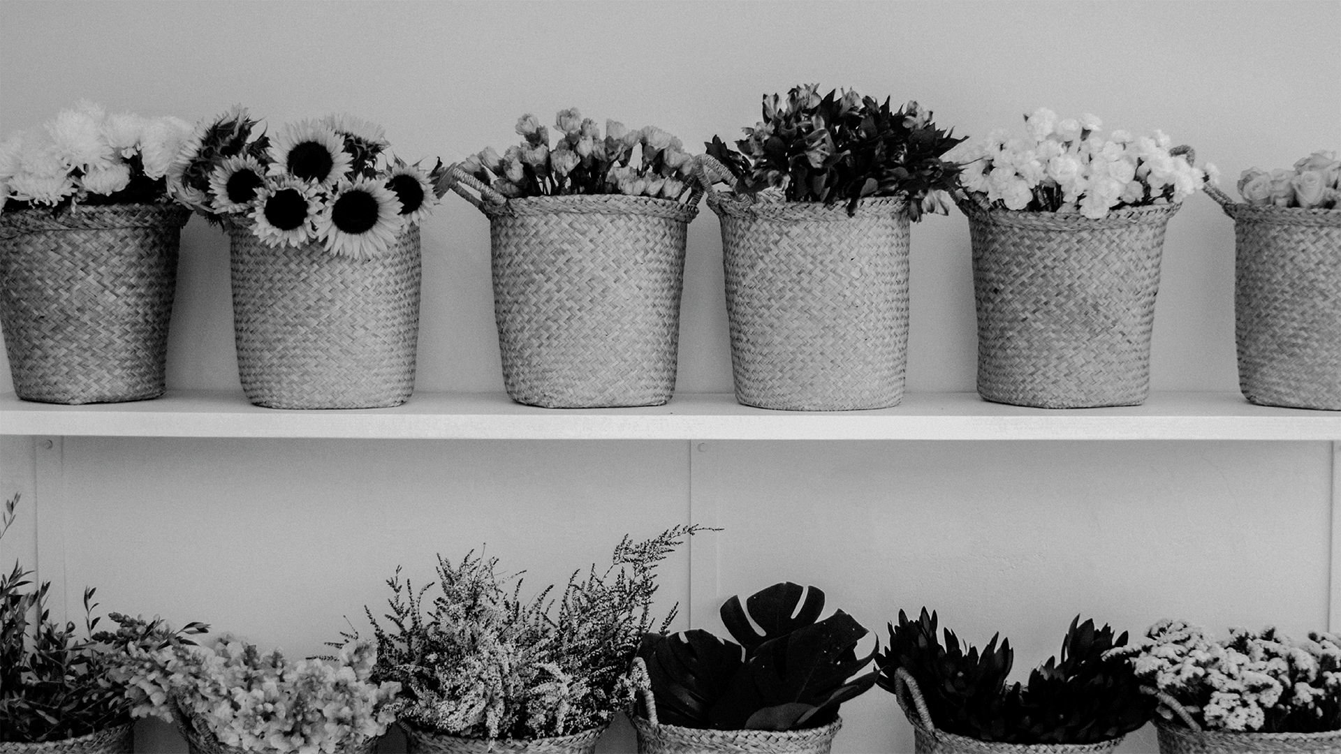 Фирменный стиль | Кондитерская и цветы | Bloom&Bliss — Изображение №5 — Брендинг, Графика на Dprofile