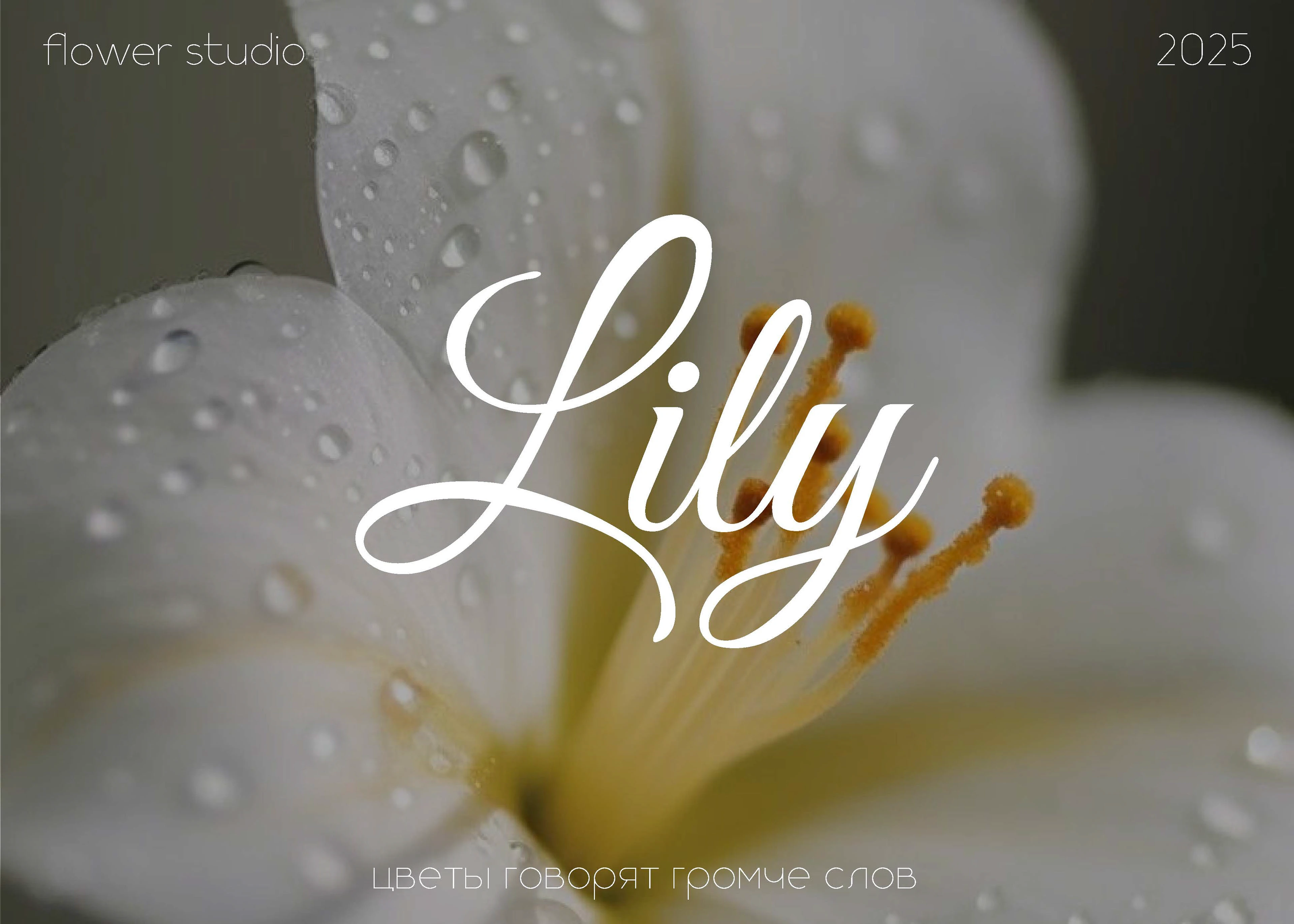 Логотип и фирменный стиль цветочного бутика — Изображение №1 — Брендинг на Dprofile