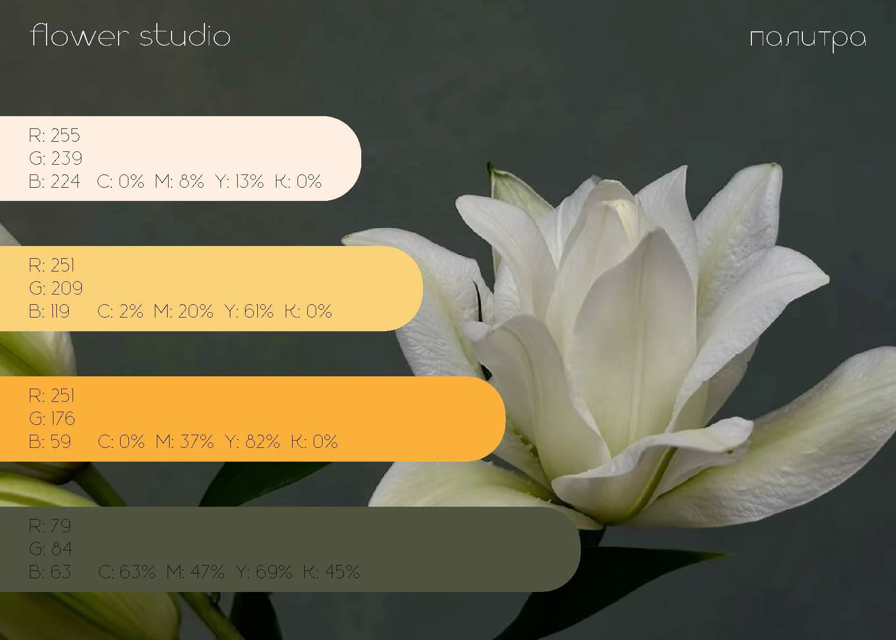 Логотип и фирменный стиль цветочного бутика — Изображение №4 — Брендинг на Dprofile
