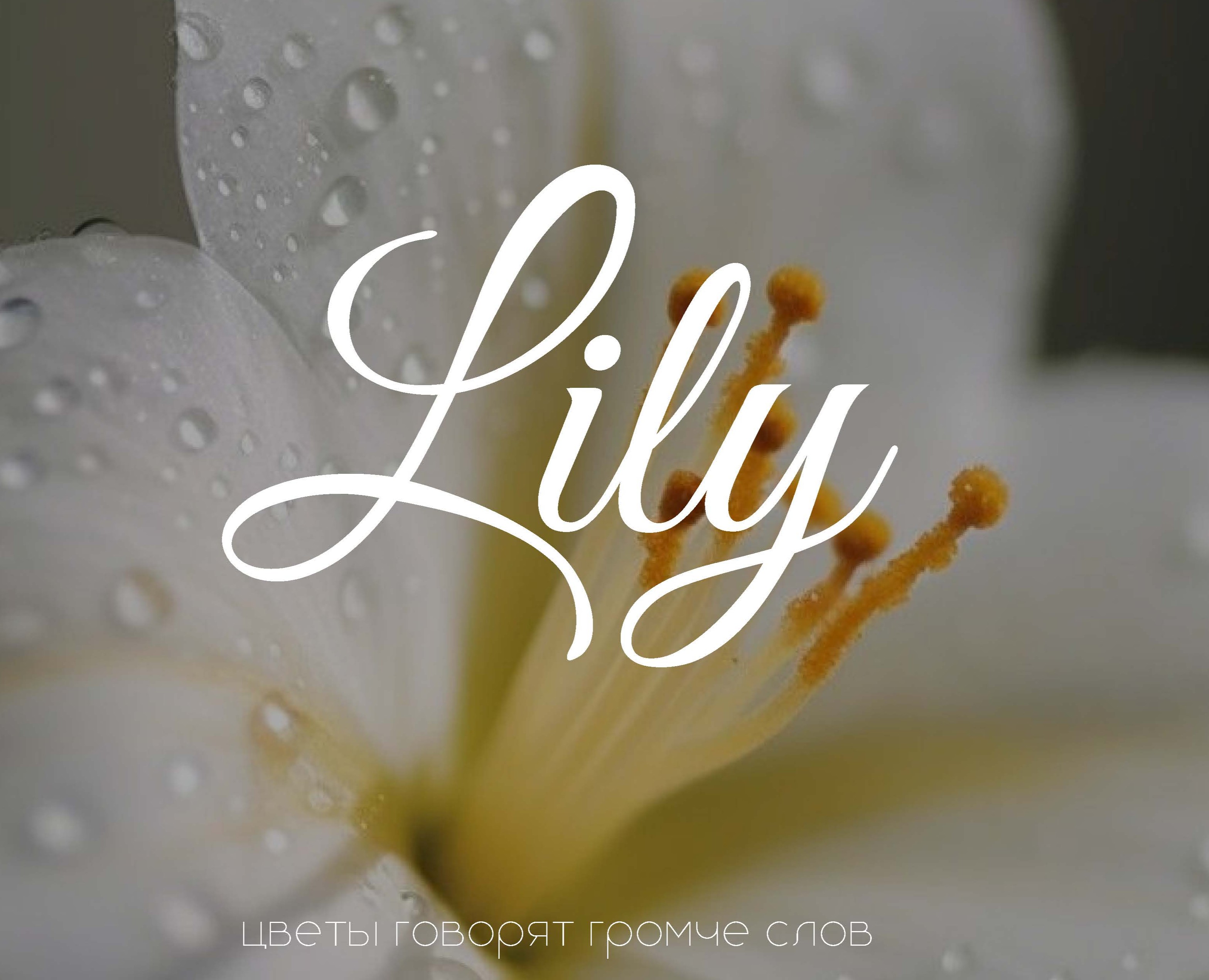 Логотип и фирменный стиль цветочного бутика — Брендинг на Dprofile