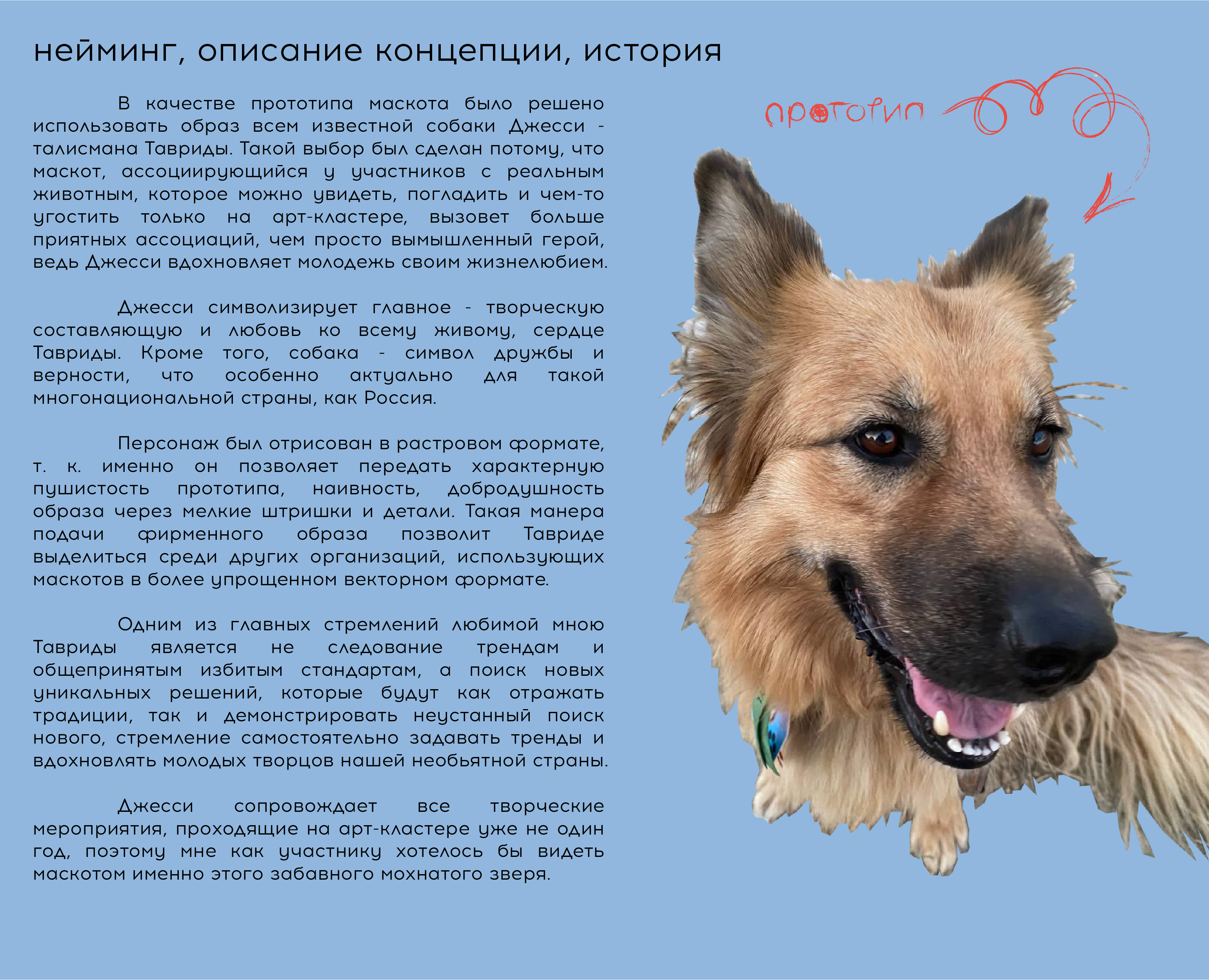 Маскот Джесси — Изображение №2 — Брендинг, Иллюстрация на Dprofile