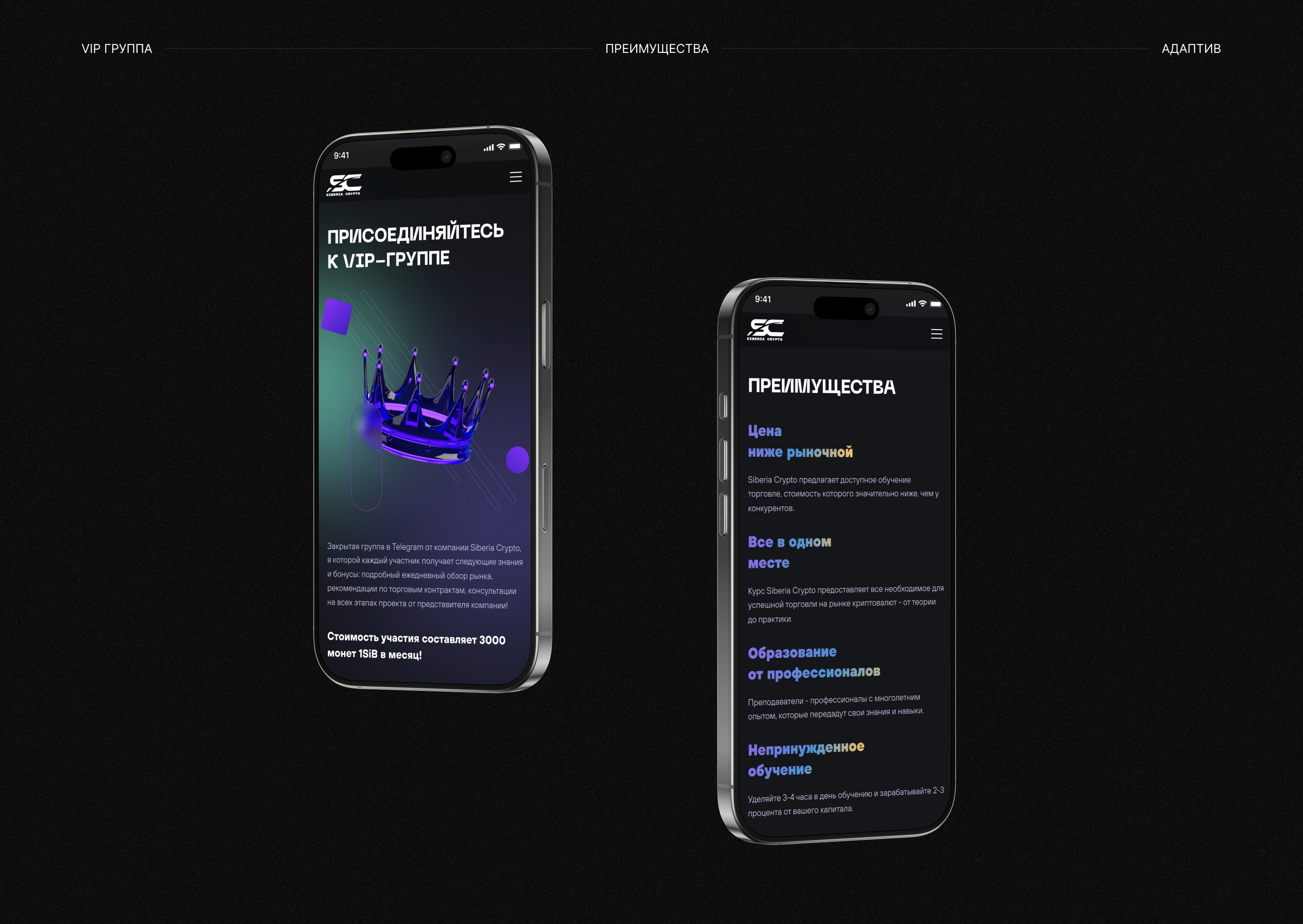 Siberia Crypto — Изображение №13 — Интерфейсы на Dprofile